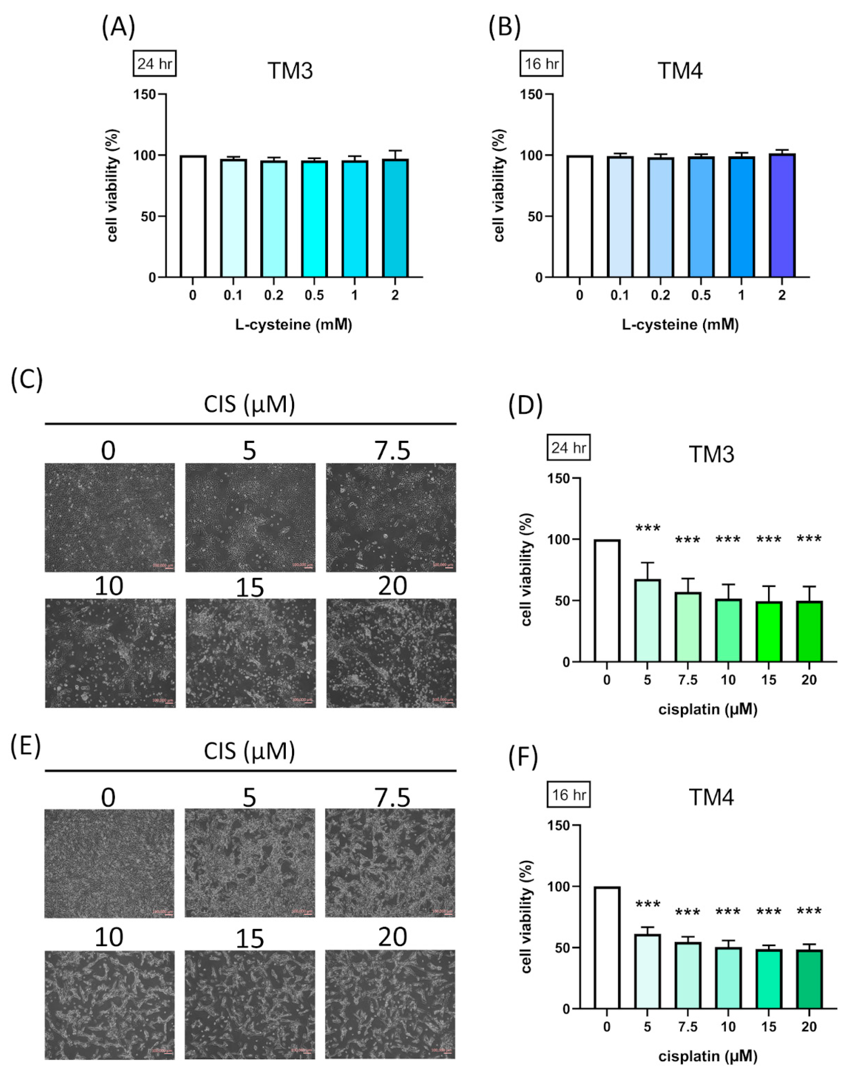 Antioxidants 13 01443 g001
