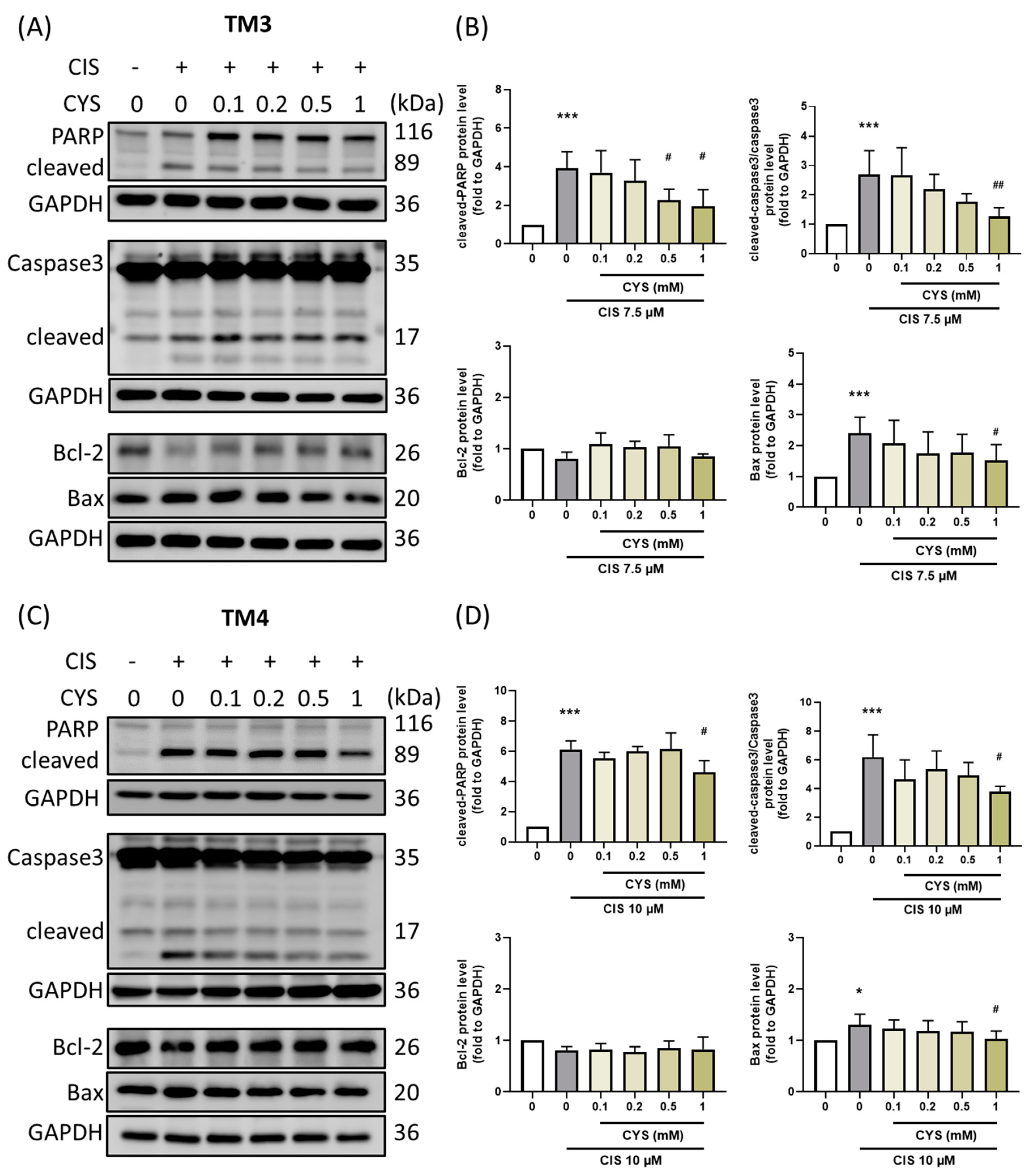 Antioxidants 13 01443 g004
