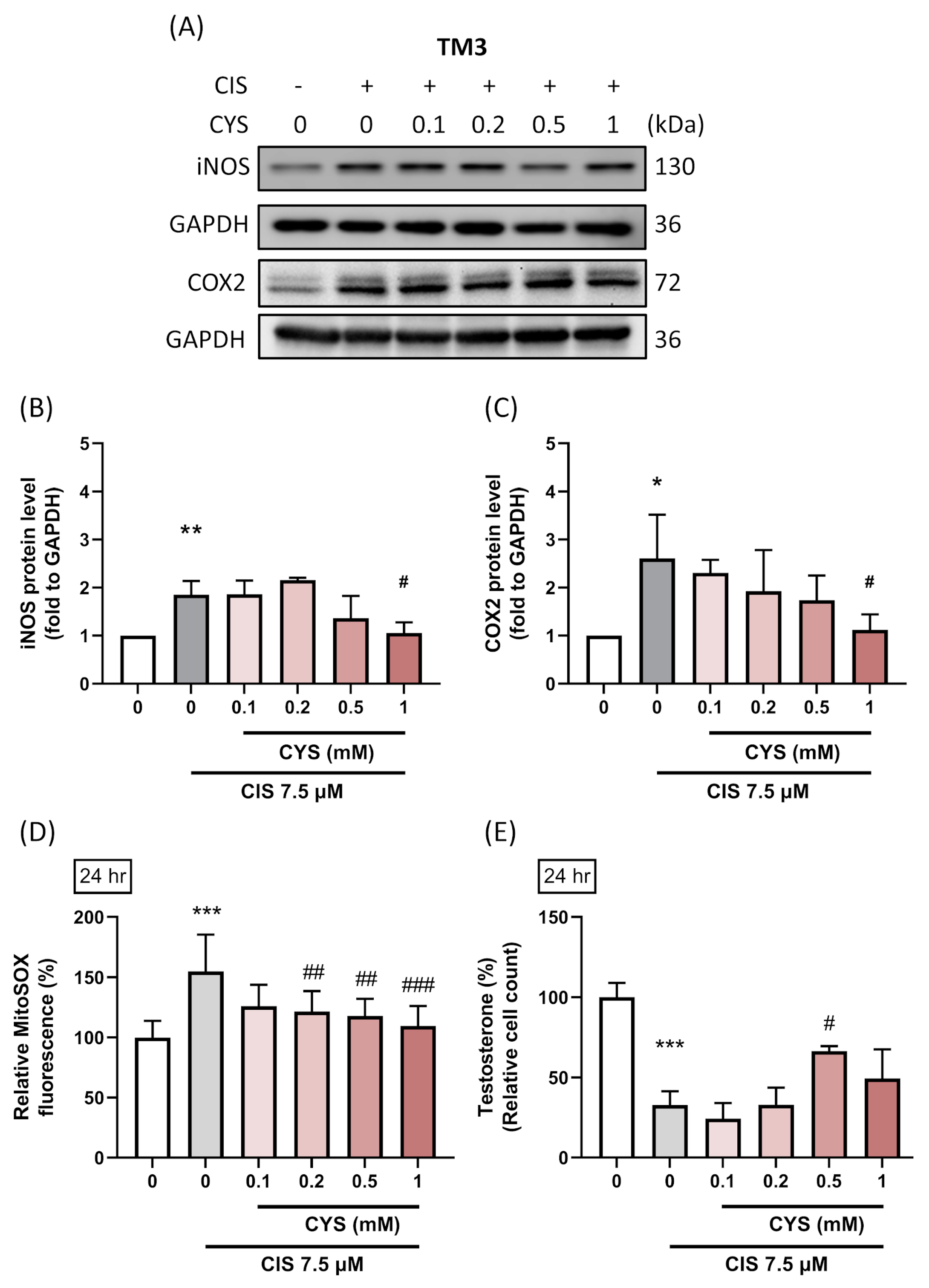 Antioxidants 13 01443 g005