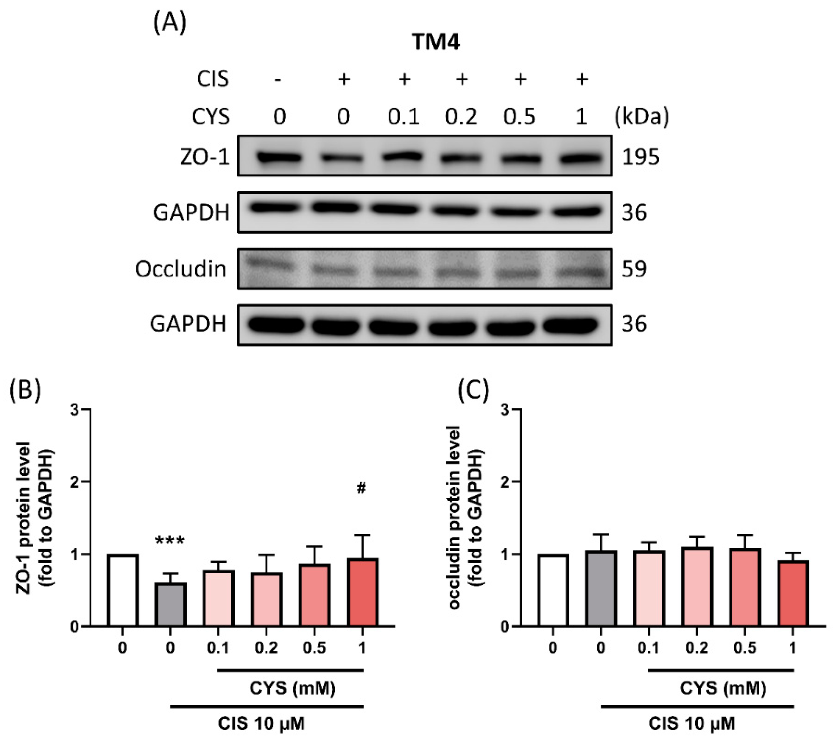 Antioxidants 13 01443 g006