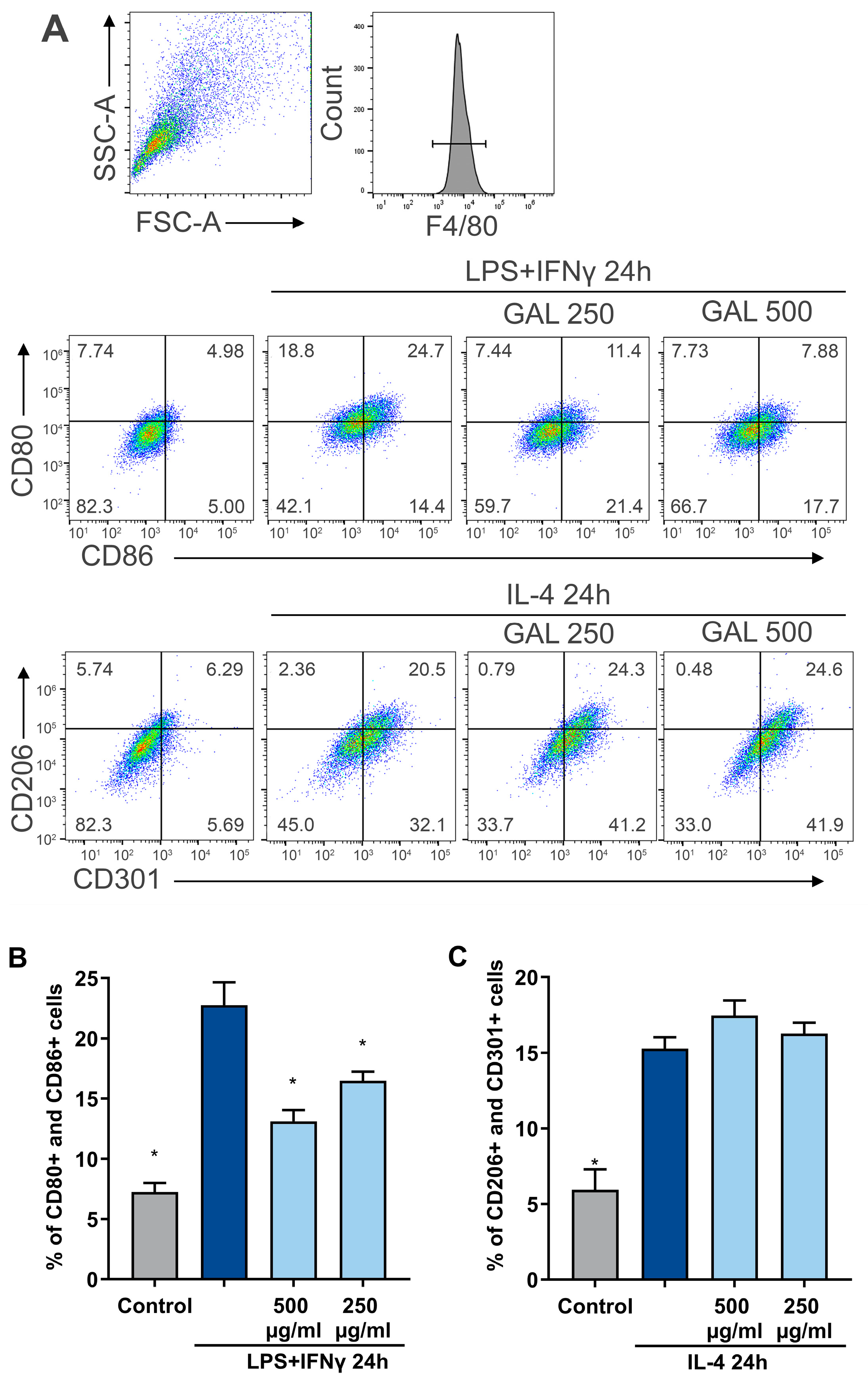 Antioxidants 13 01447 g003
