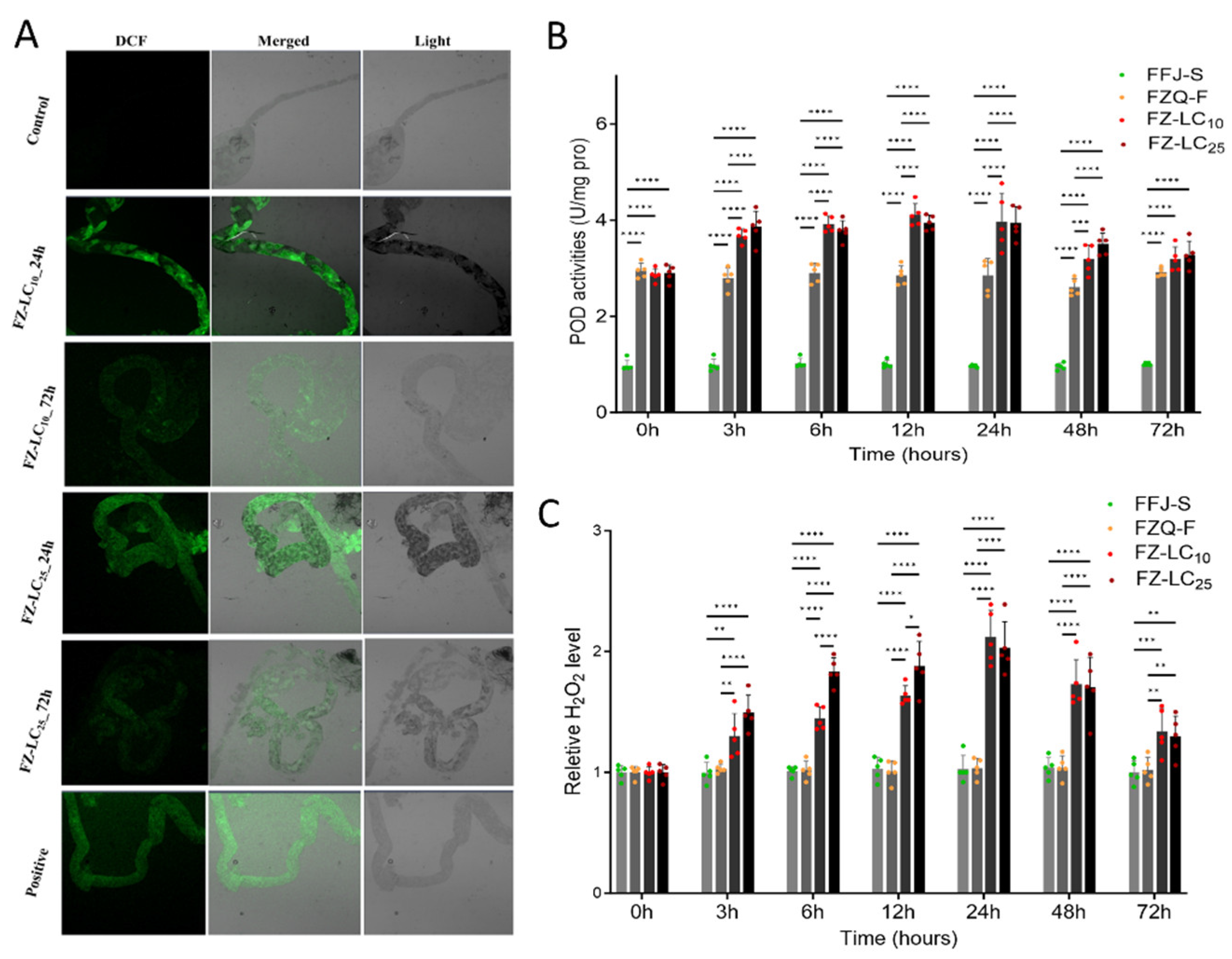 Antioxidants 13 01453 g003