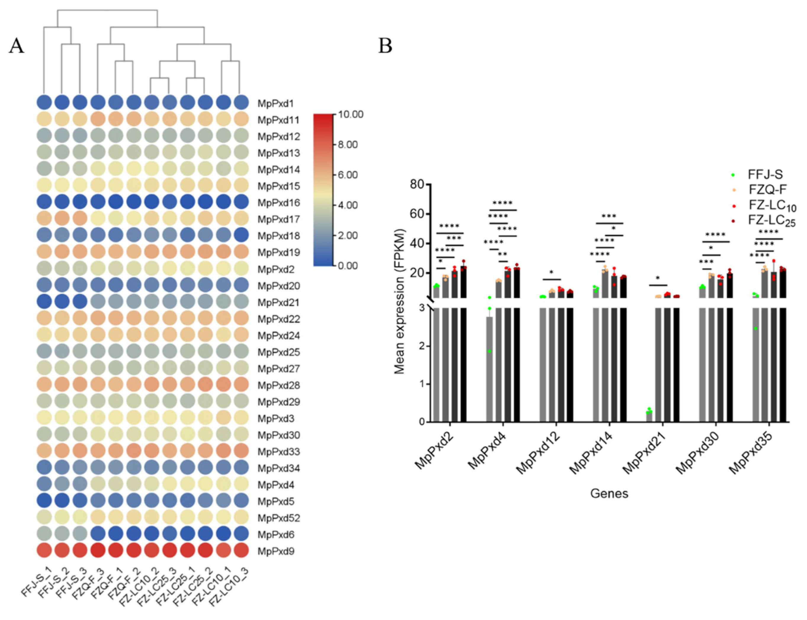 Antioxidants 13 01453 g004