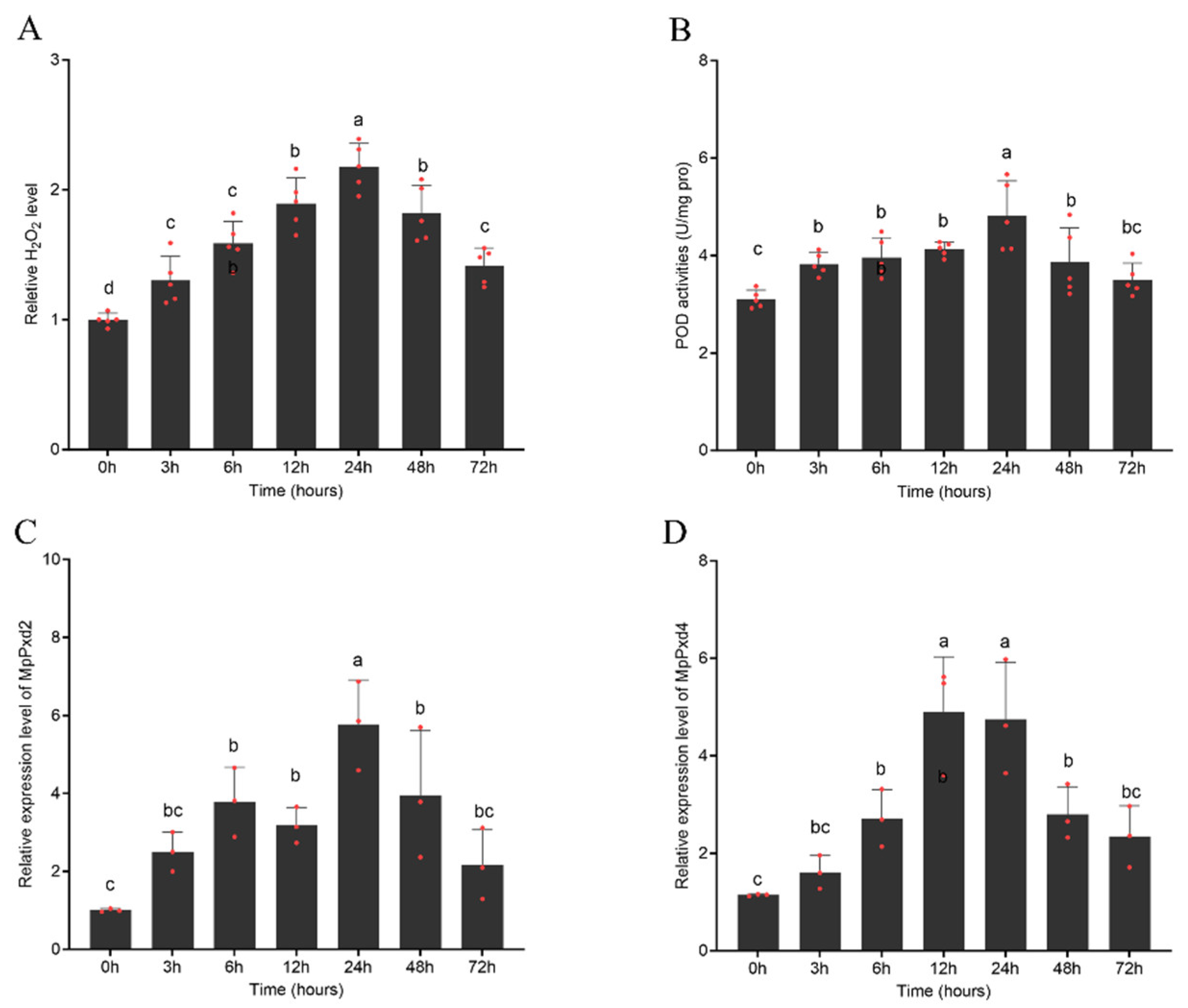 Antioxidants 13 01453 g005