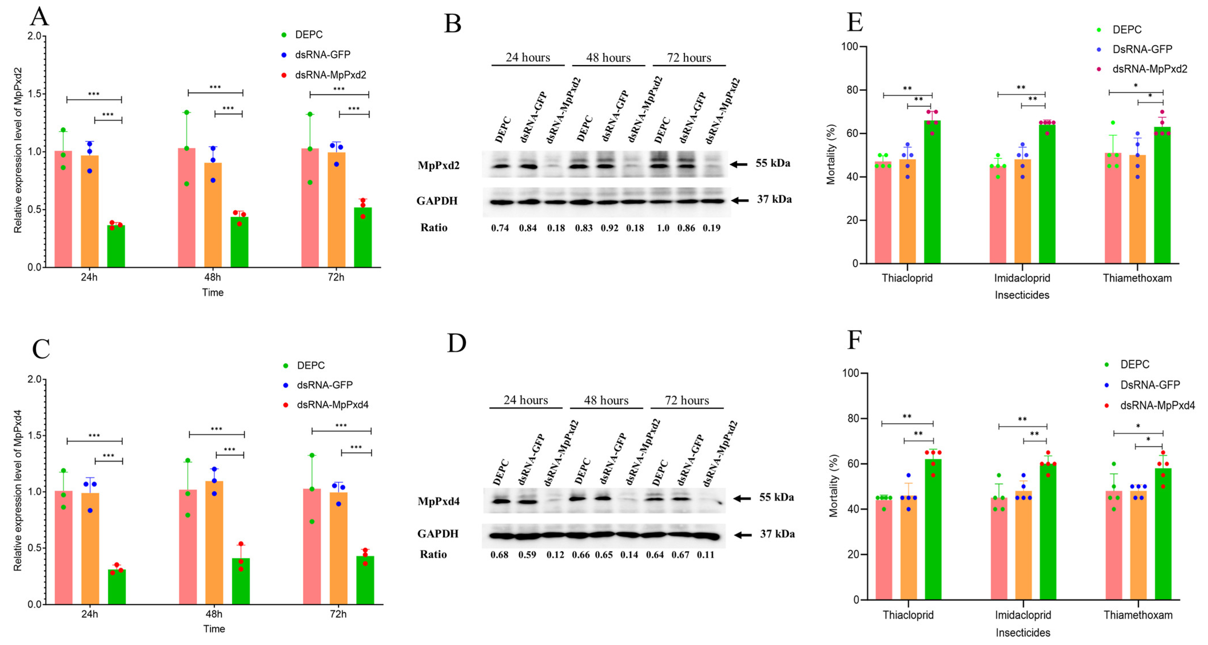 Antioxidants 13 01453 g006