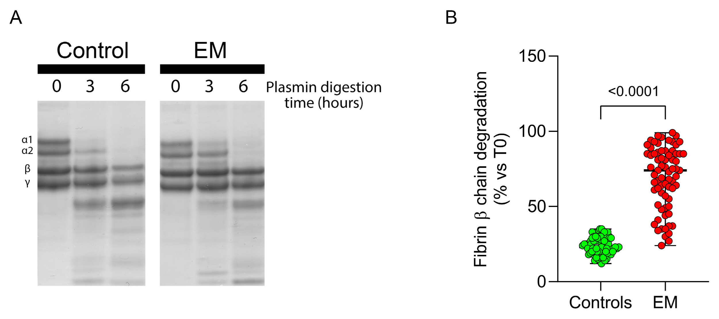 Antioxidants 13 01456 g005 Antioxidants 13 01456 g005