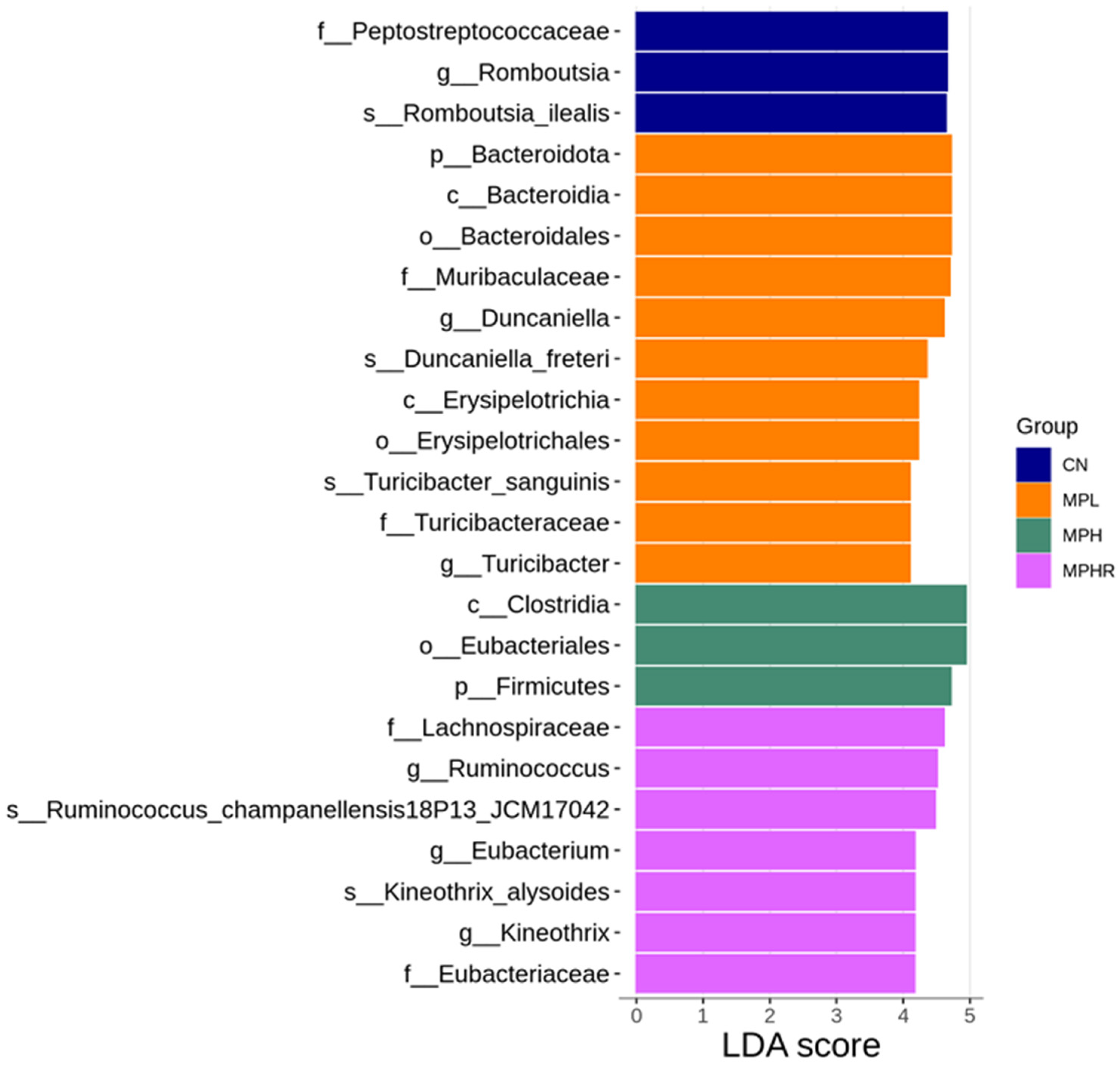 Antioxidants 13 01457 g004