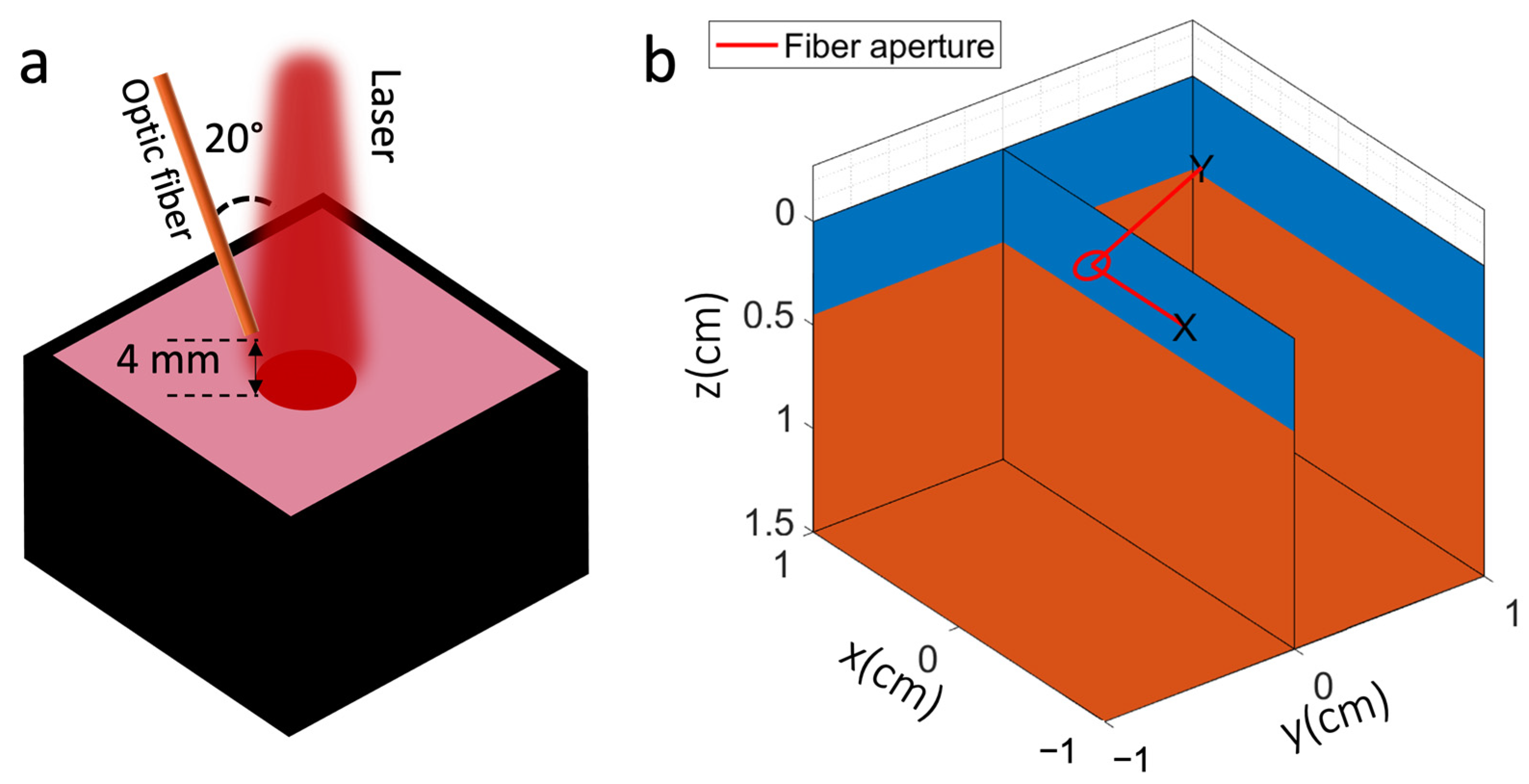 Antioxidants 13 01458 g001