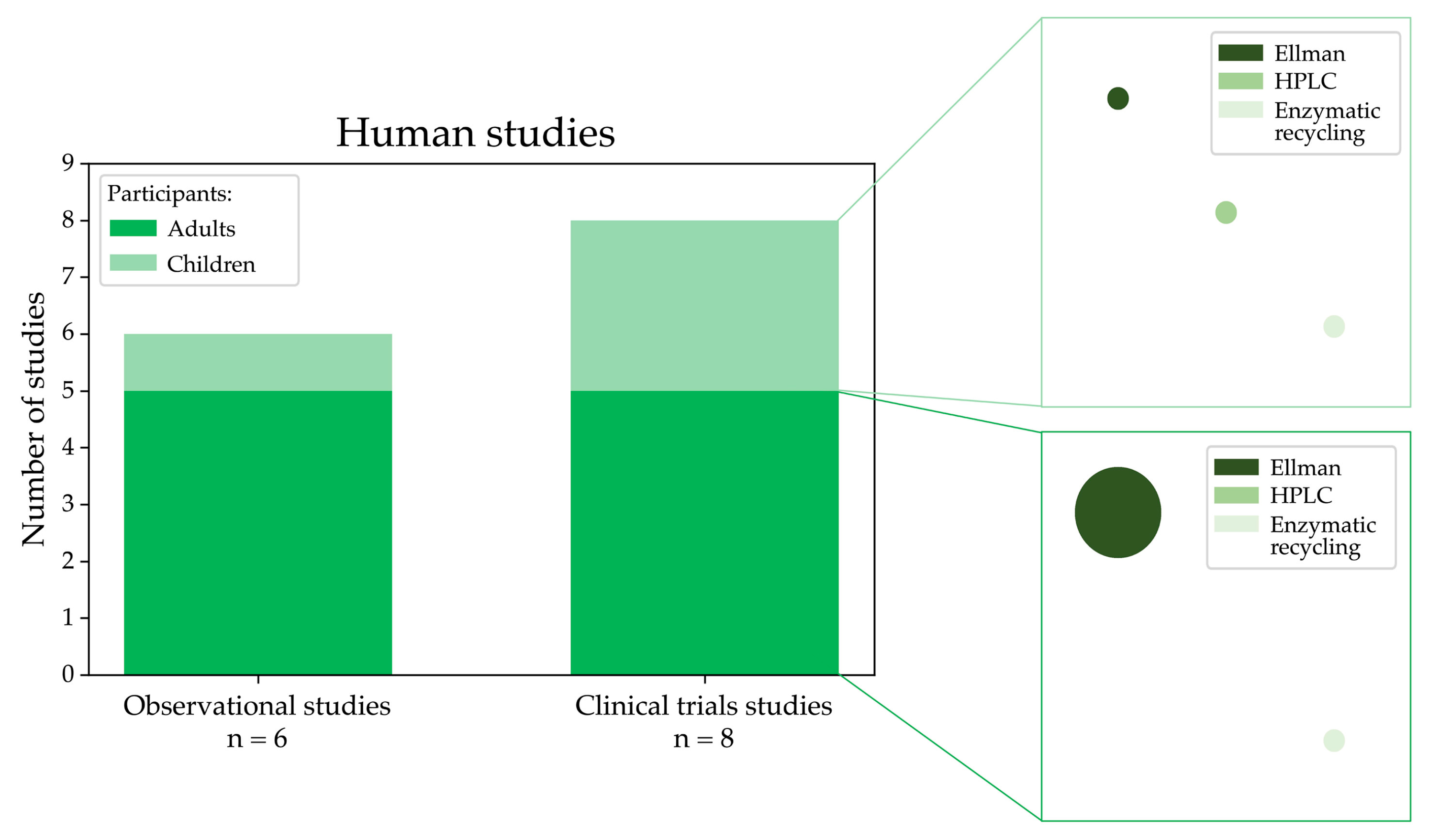 Antioxidants 13 01461 g006