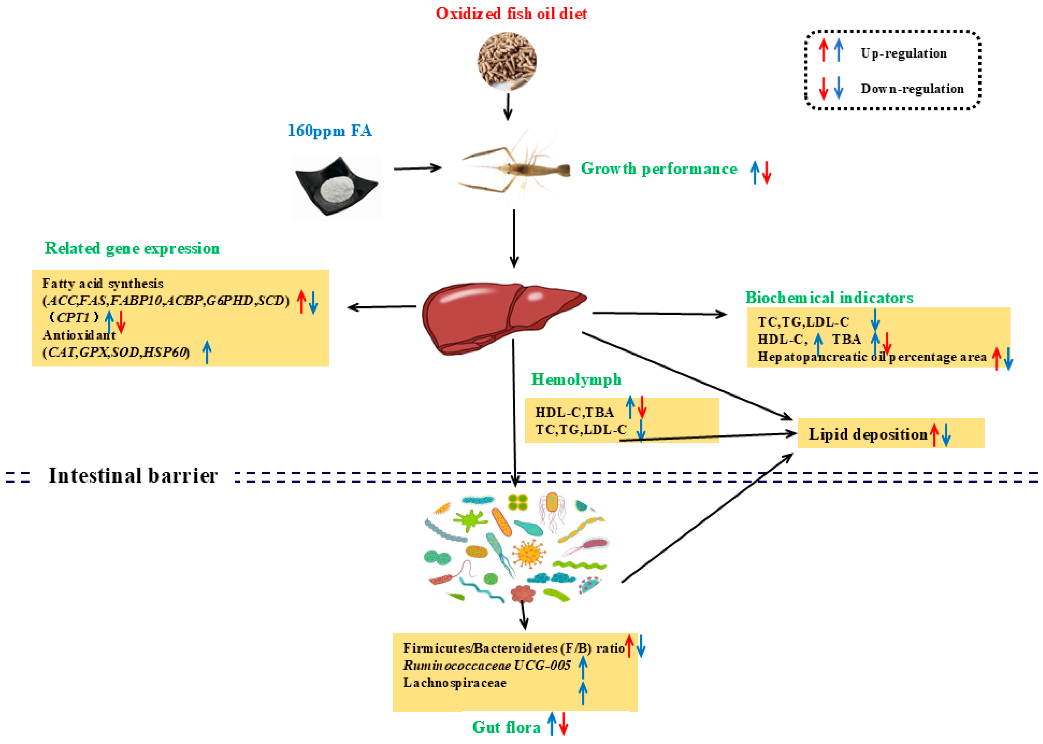 Antioxidants 13 01463 g009