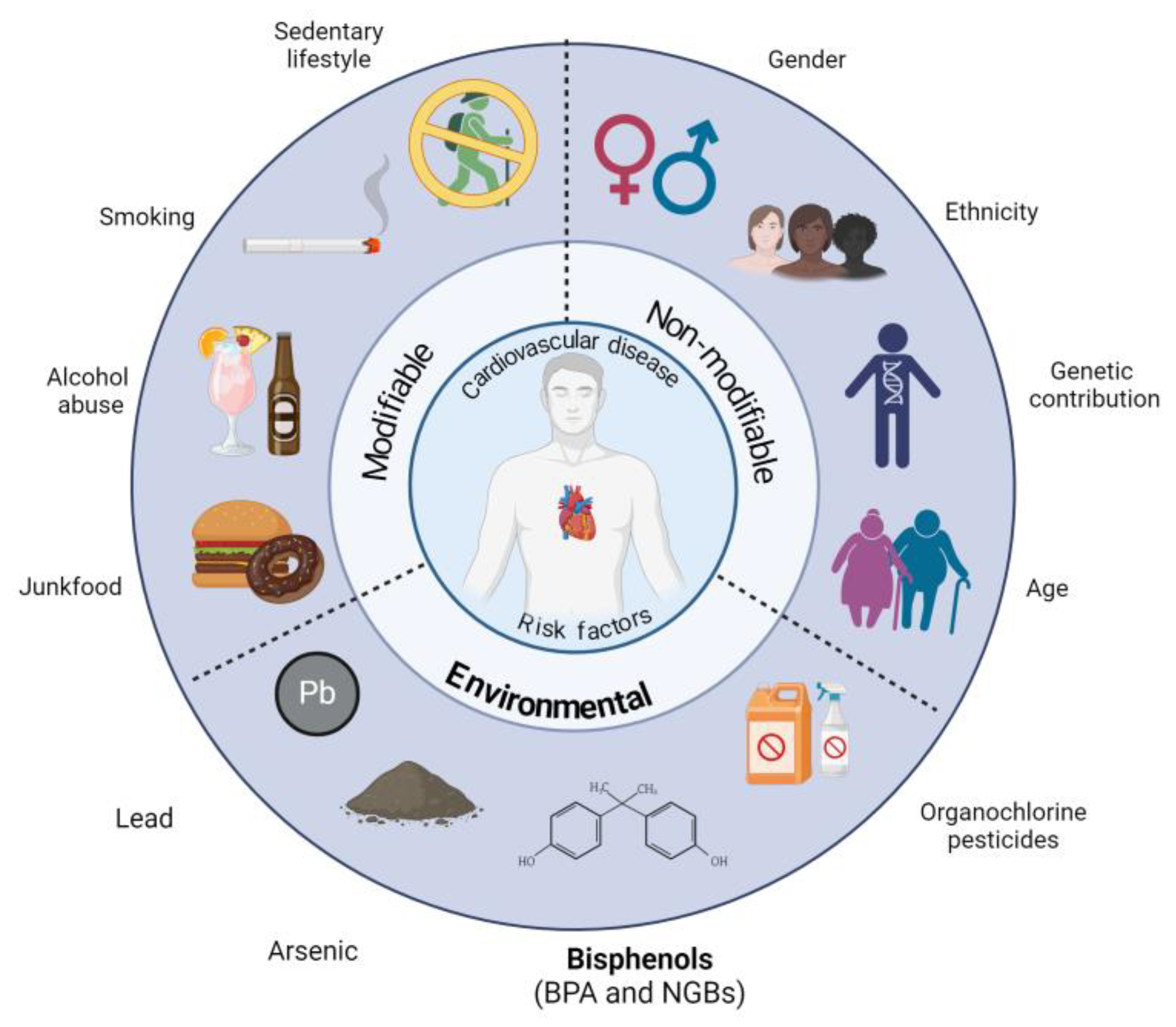Antioxidants 13 01468 g001