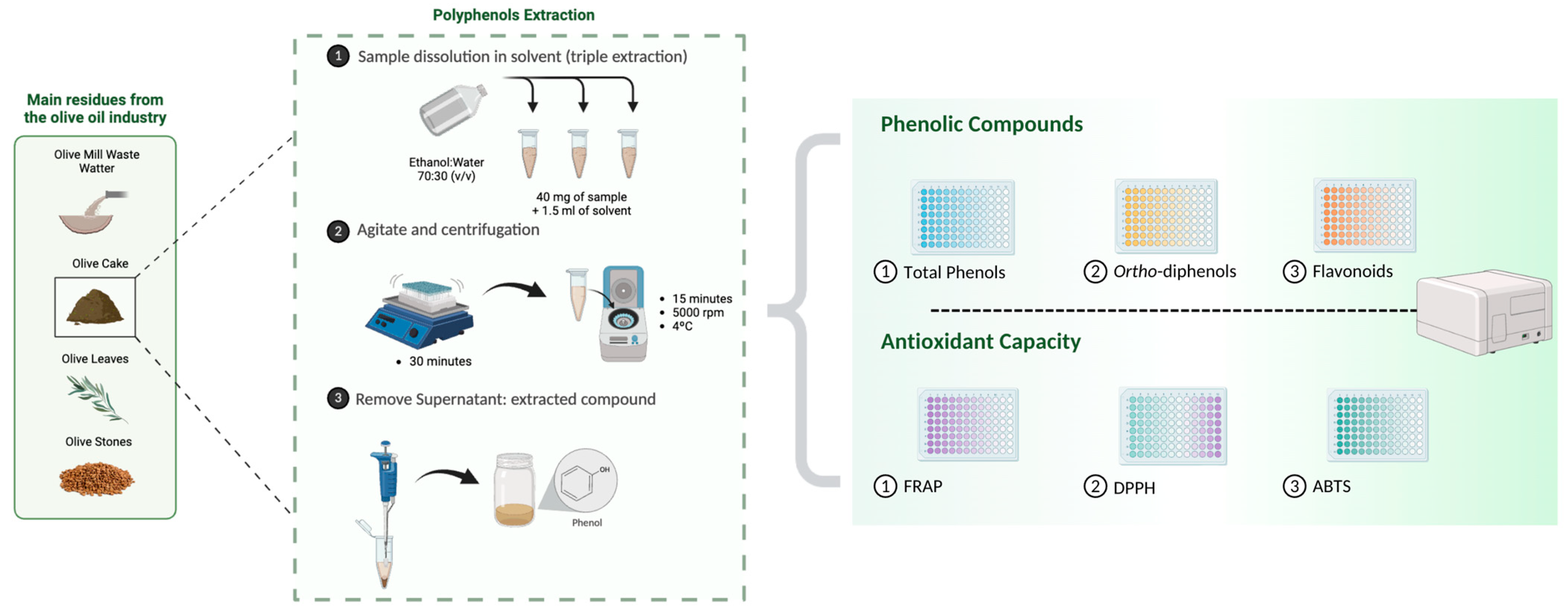 Antioxidants 13 01470 g001