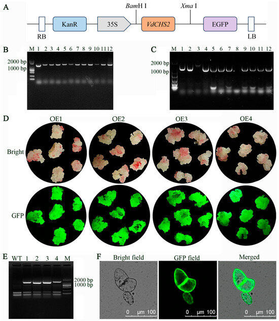 パン za-00144z-v-05.jpg