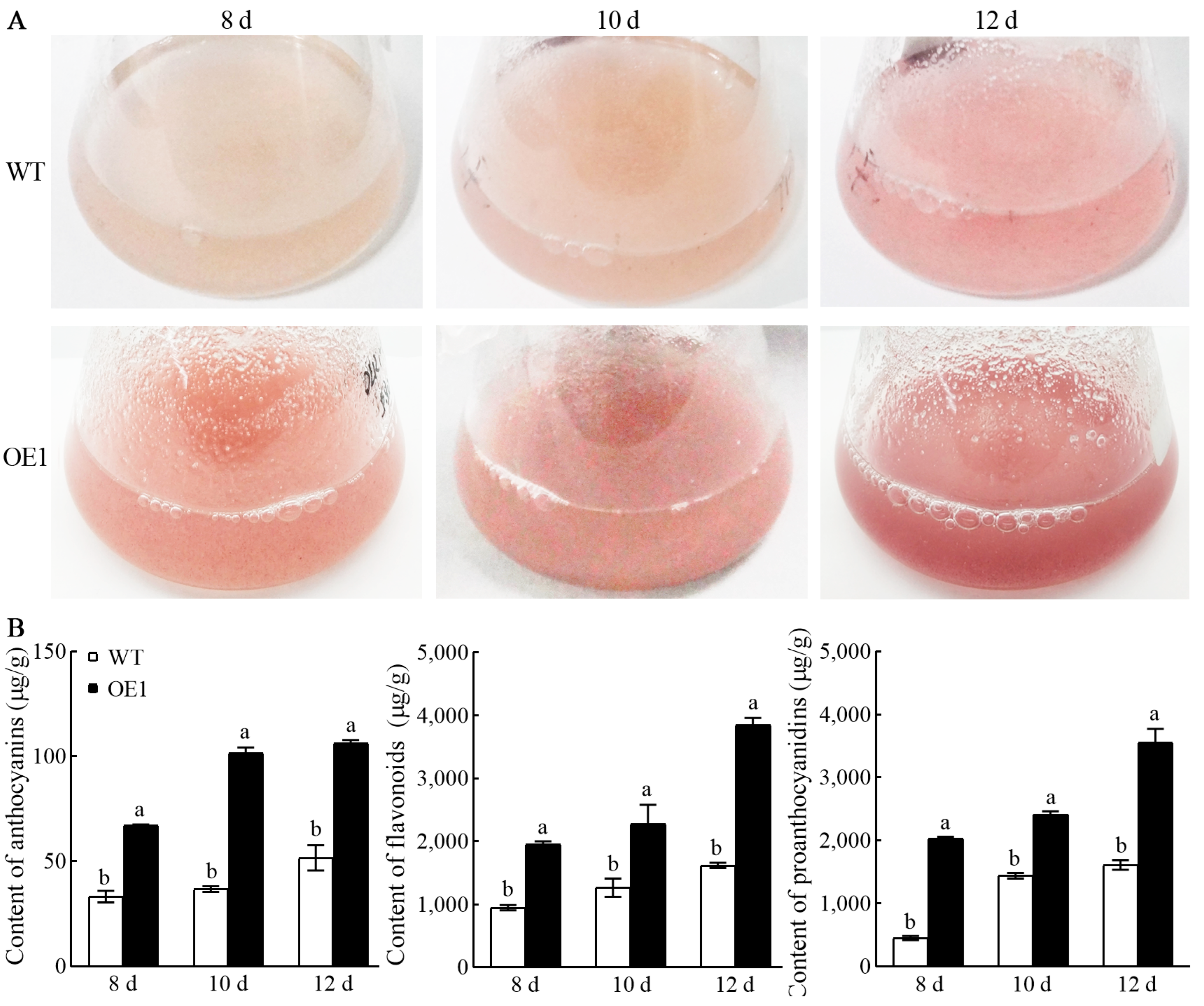 Antioxidants 13 01472 g007