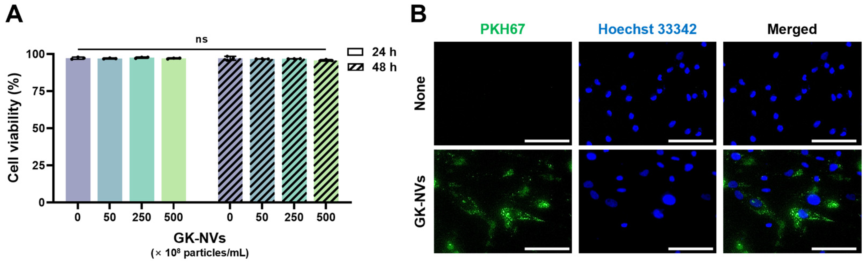 Antioxidants 13 01474 g002