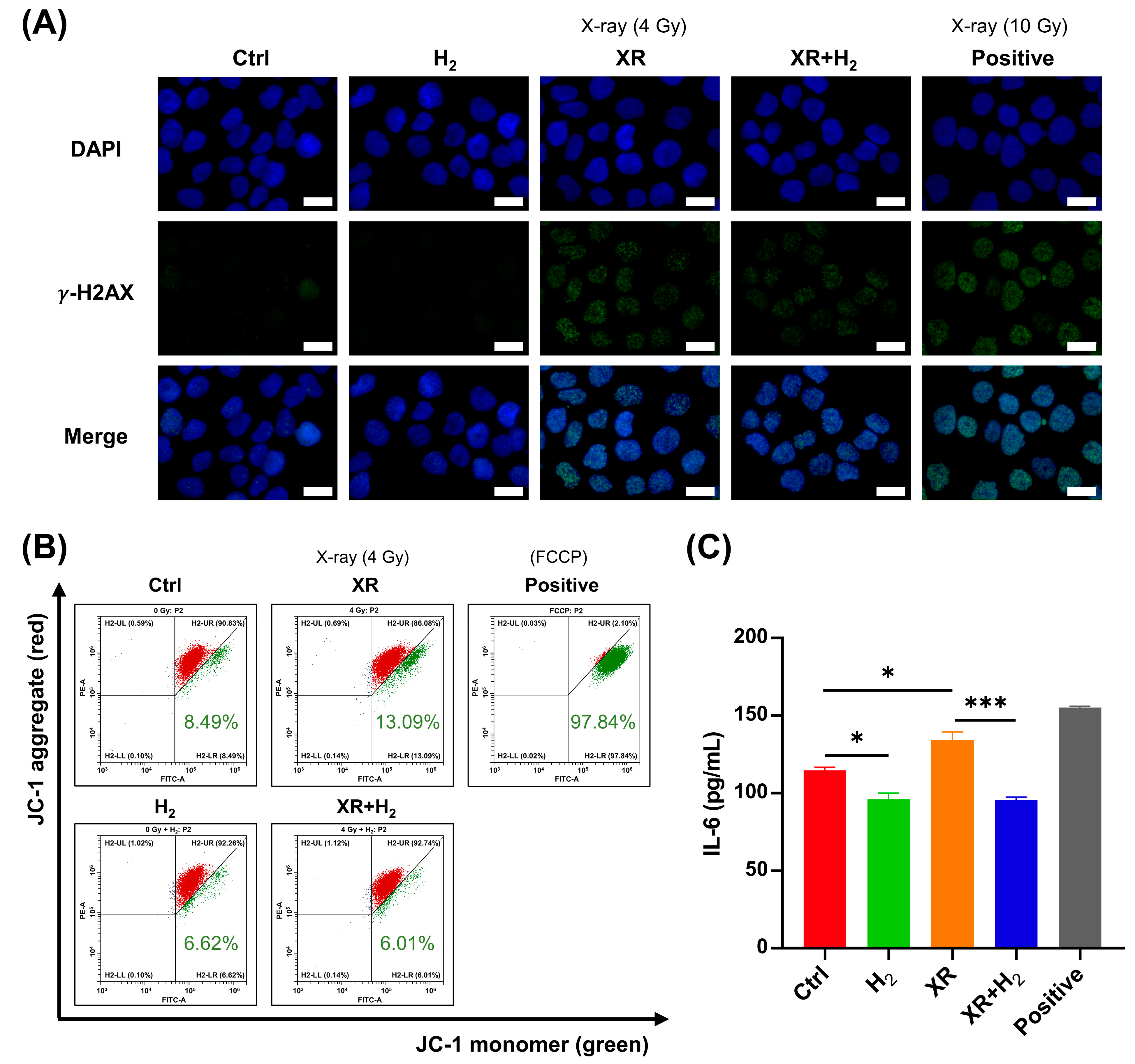 Antioxidants 13 01475 g001