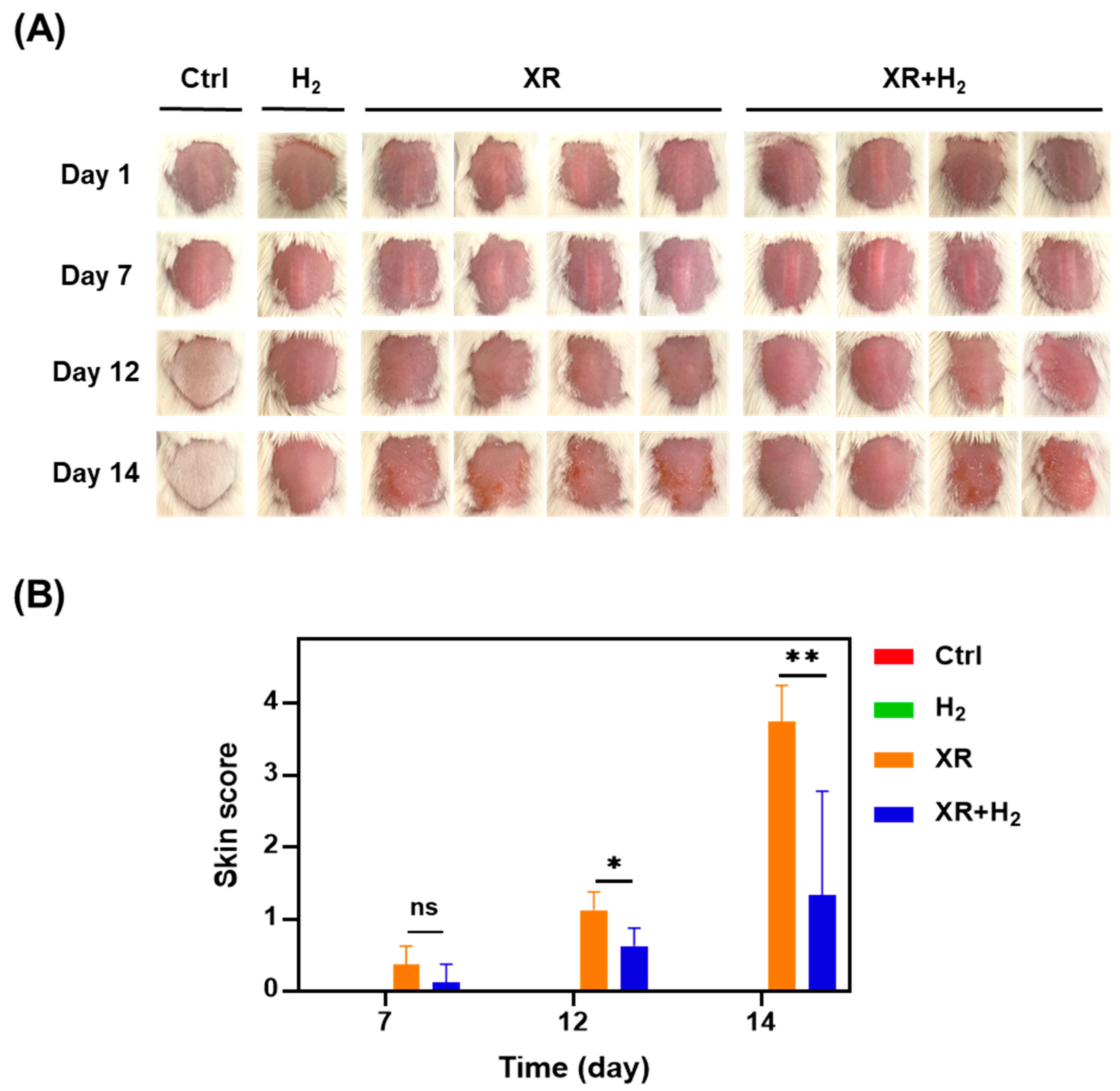 Antioxidants 13 01475 g003