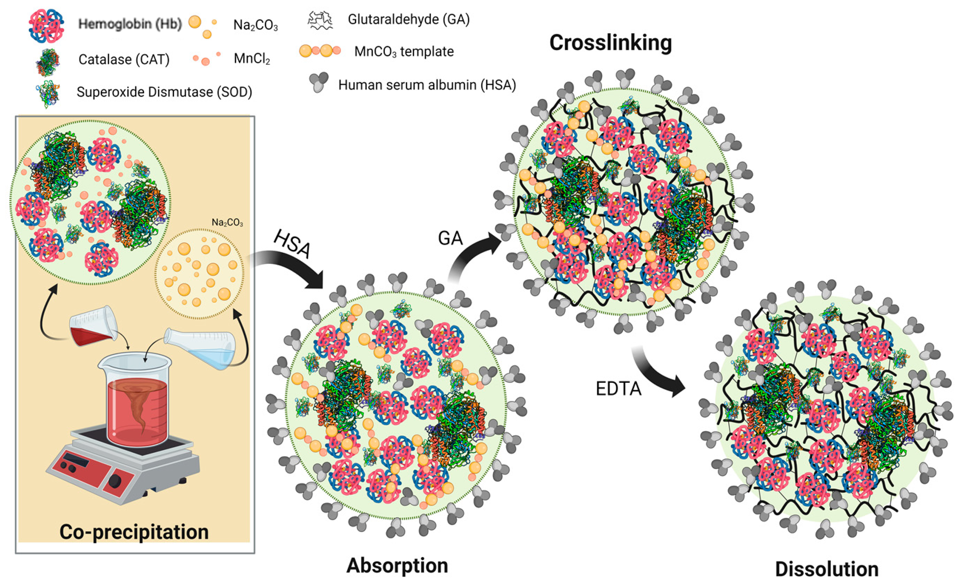 Antioxidants 13 01477 g001