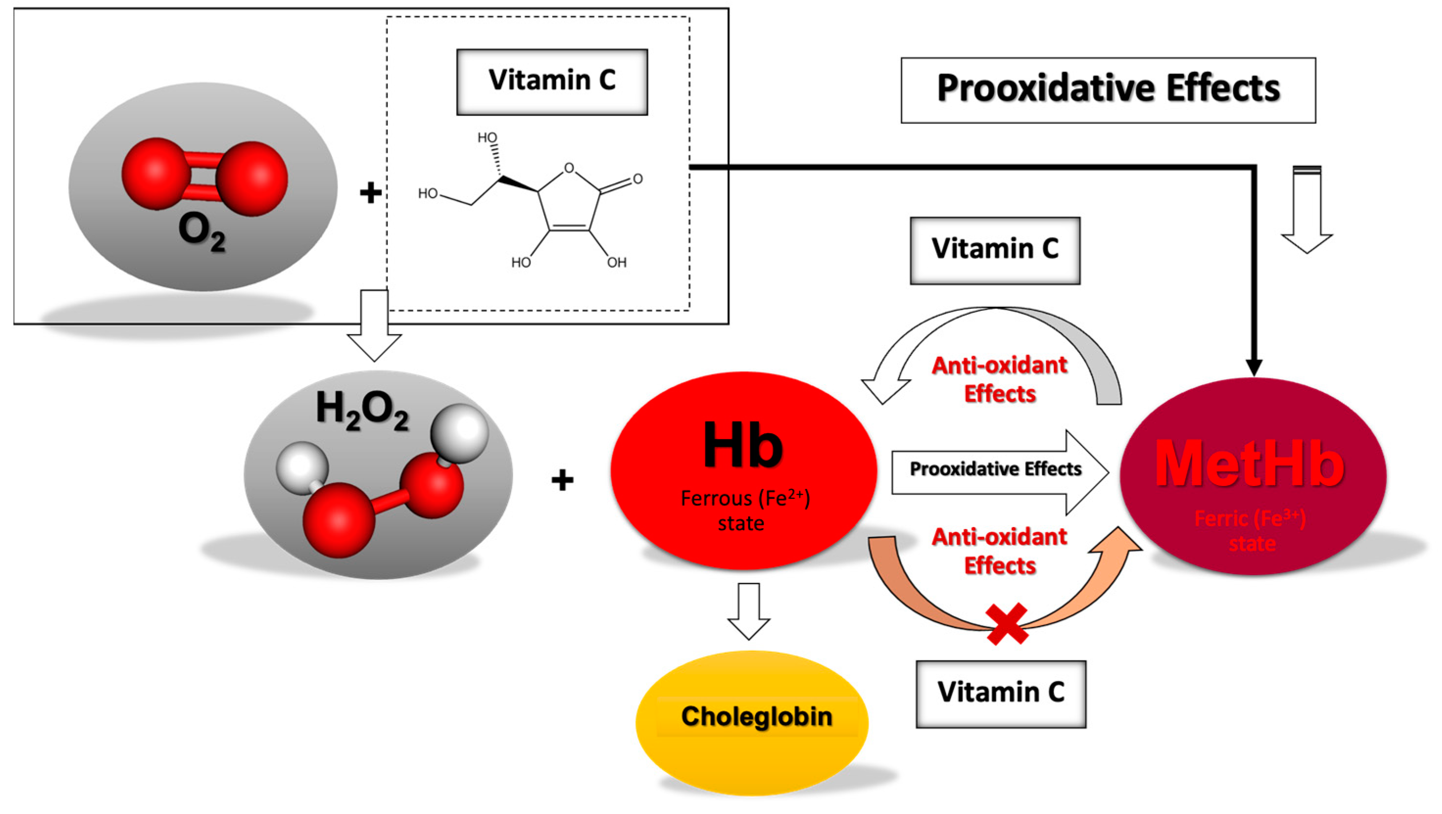 Antioxidants 13 01477 g005
