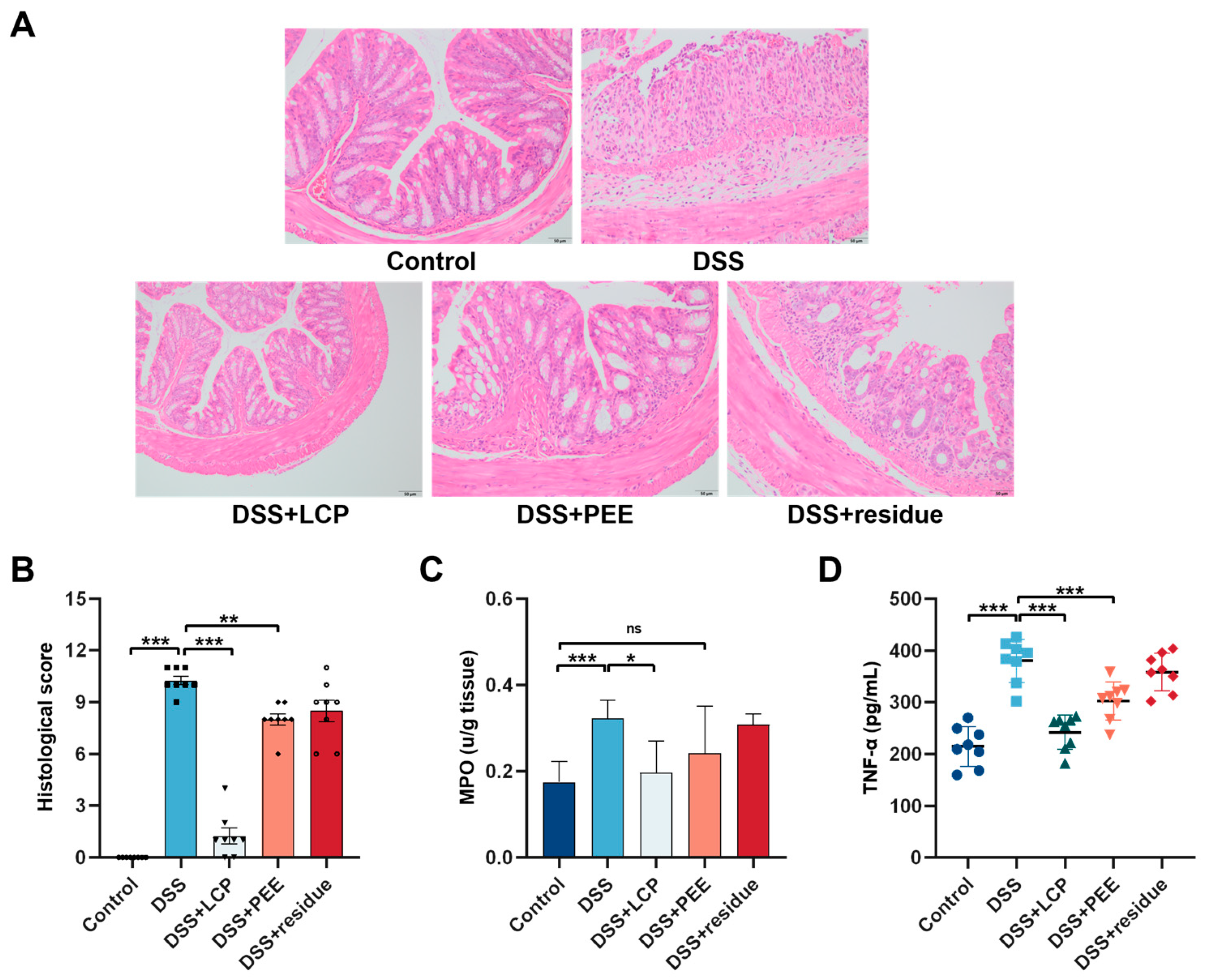 Antioxidants 13 01478 g002