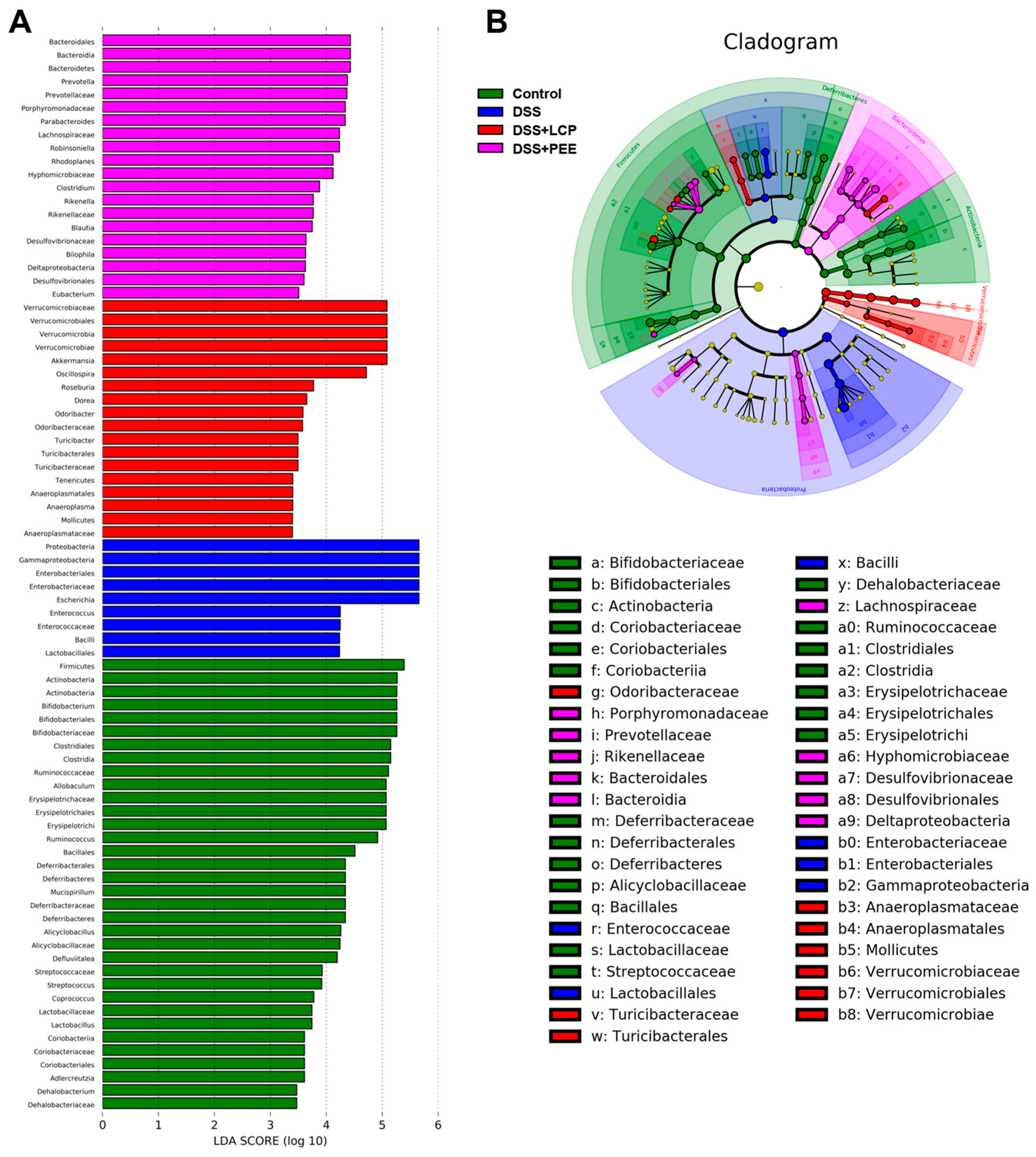 Antioxidants 13 01478 g007