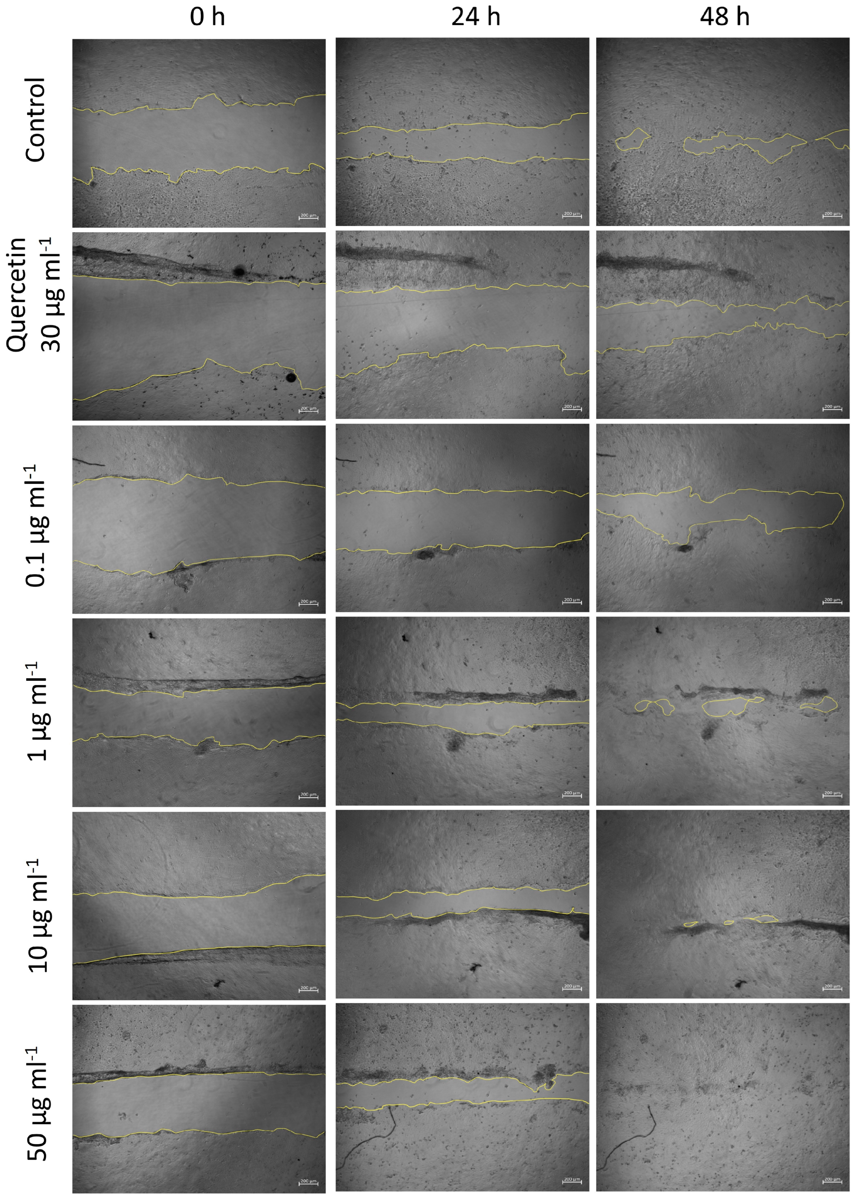 Antioxidants 13 01479 g004
