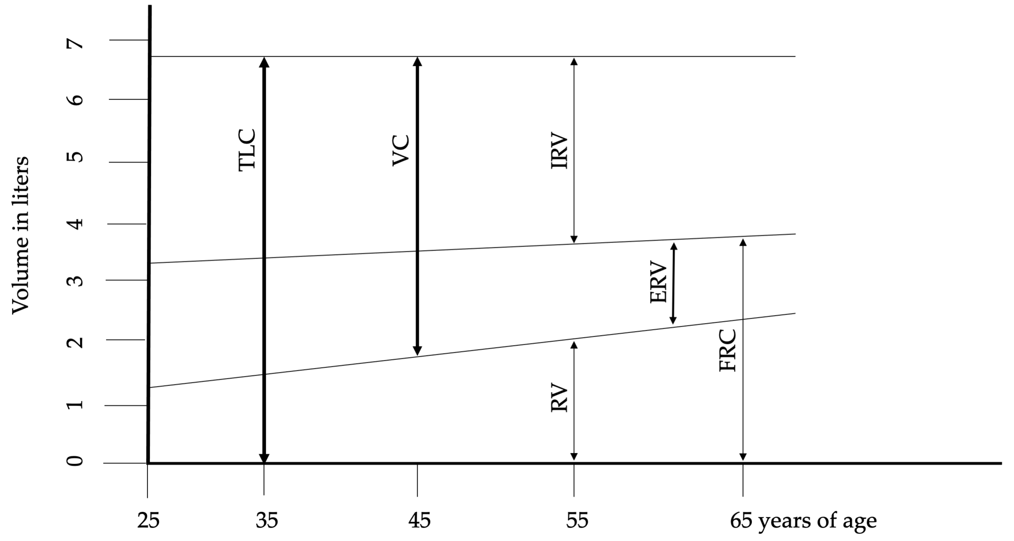 Antioxidants 13 01480 g001