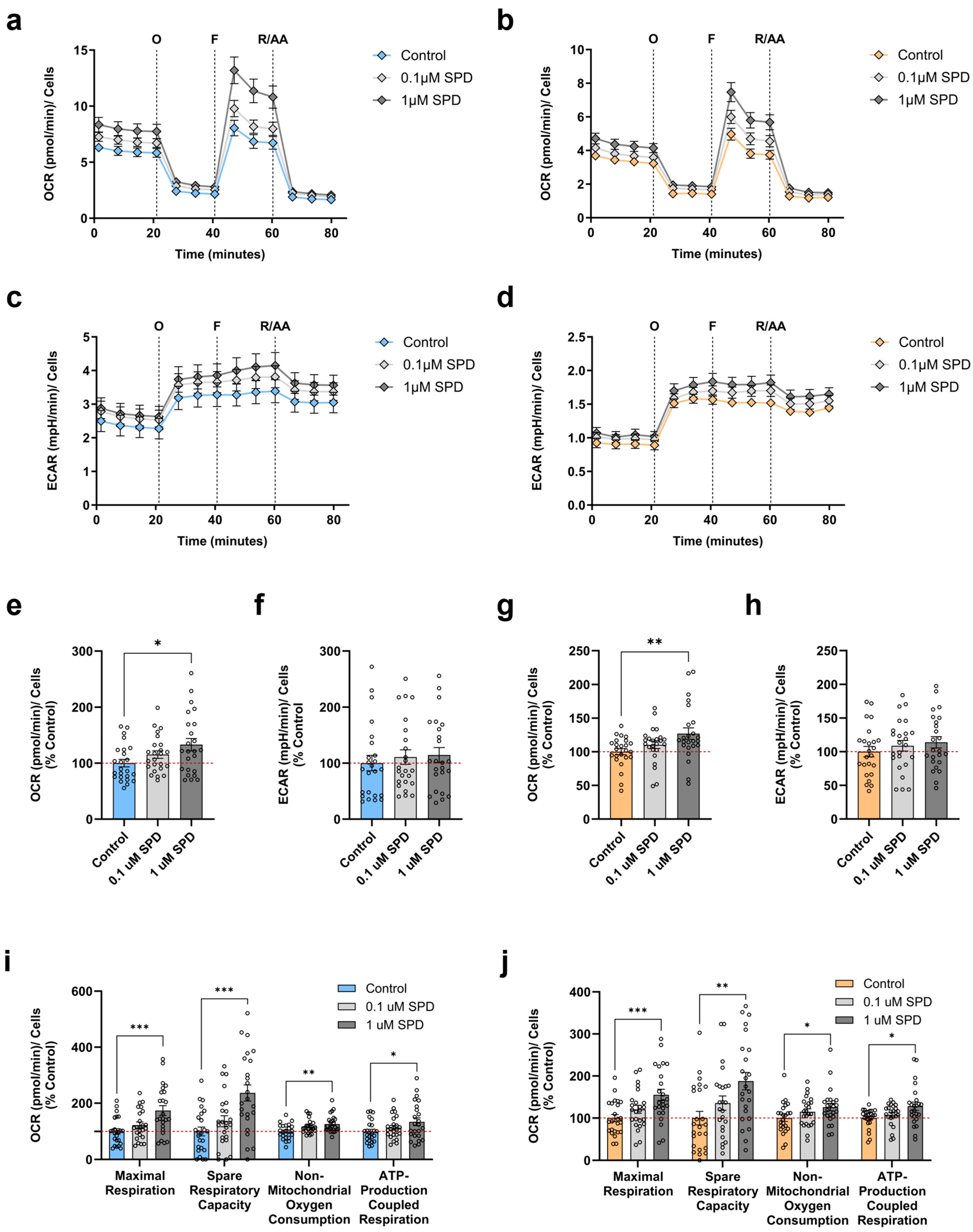 Antioxidants 13 01482 g004