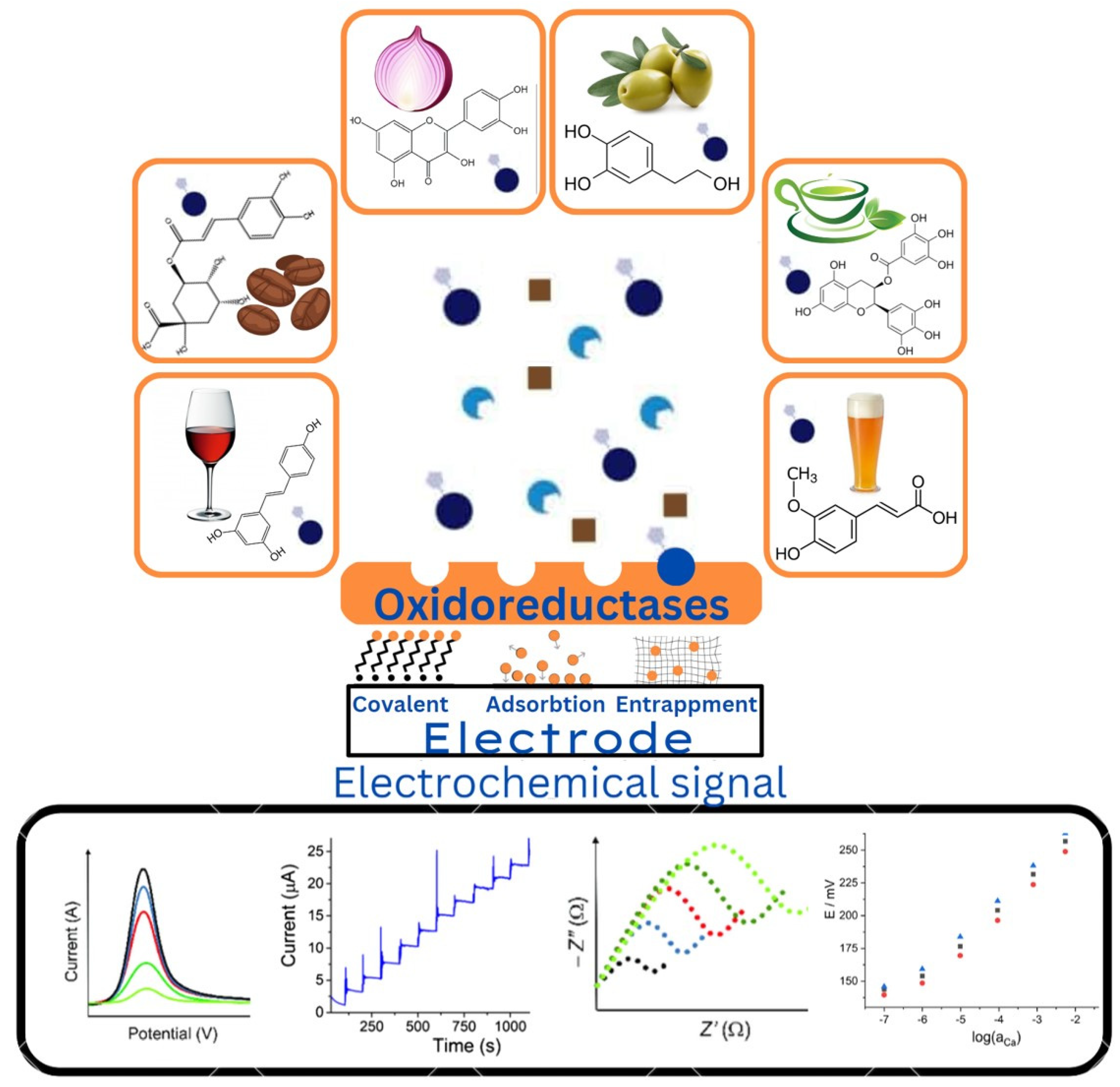 Antioxidants 13 01484 g003
