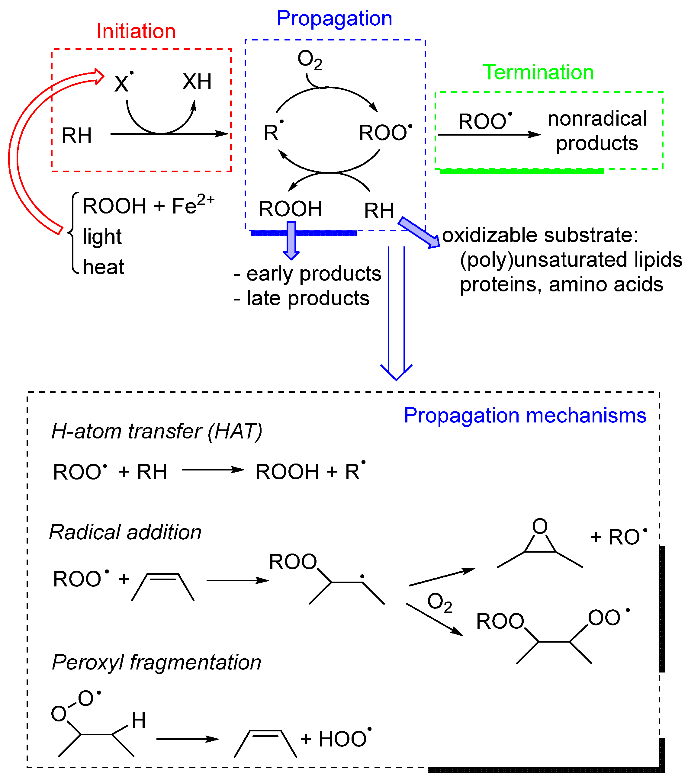 Antioxidants 13 01484 sch001
