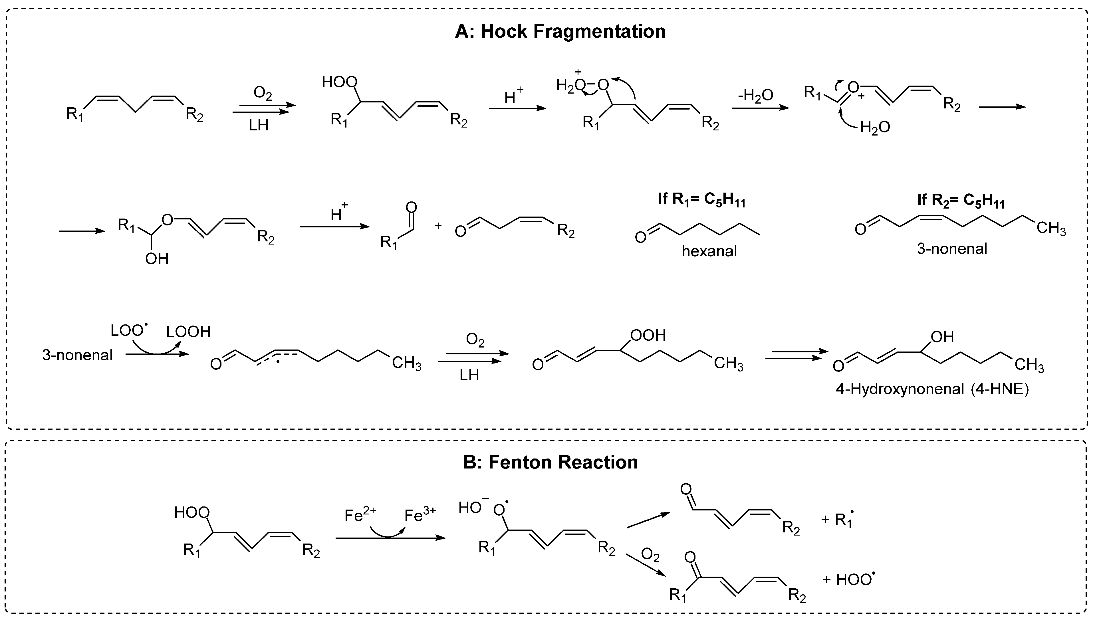 Antioxidants 13 01484 sch003