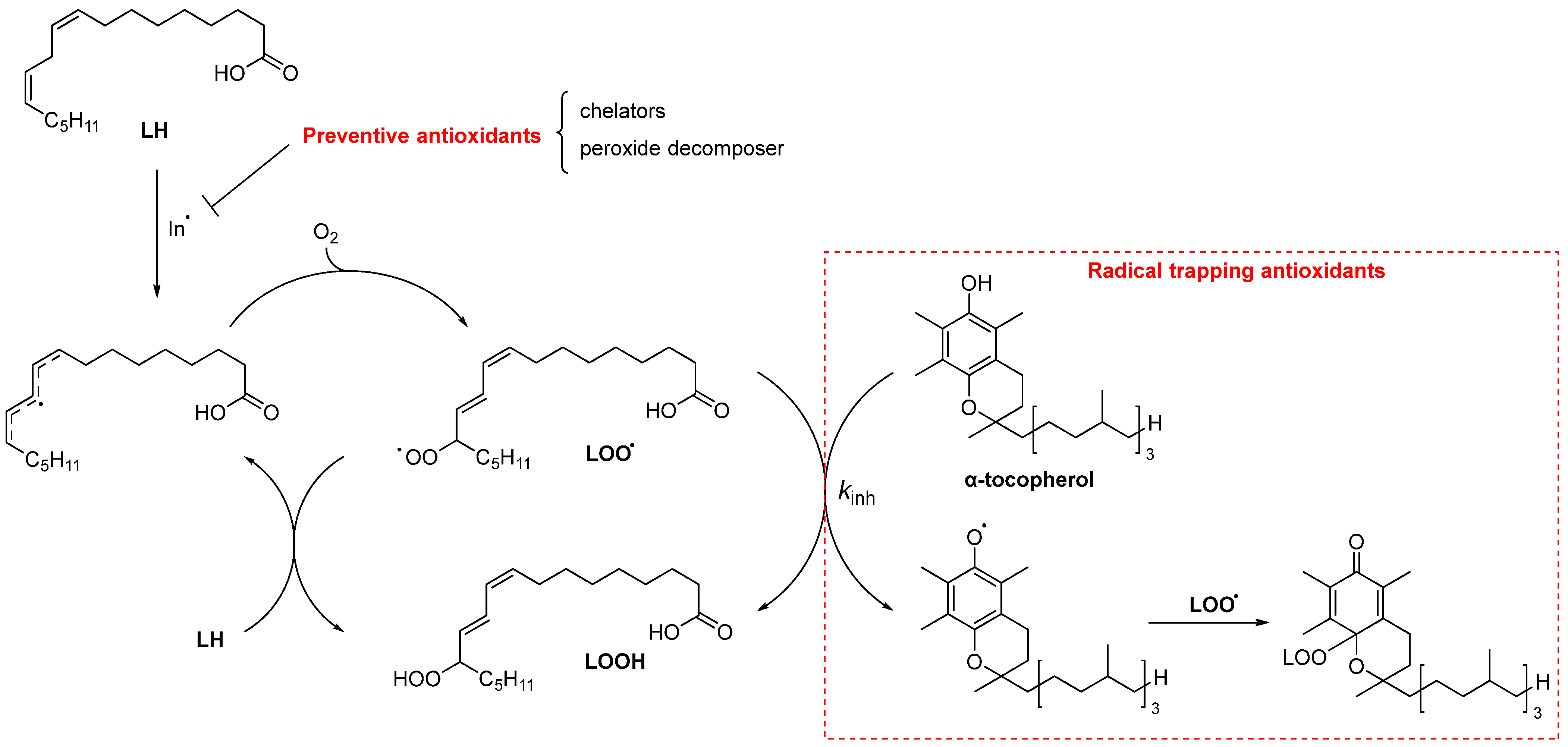 Antioxidants 13 01484 sch004