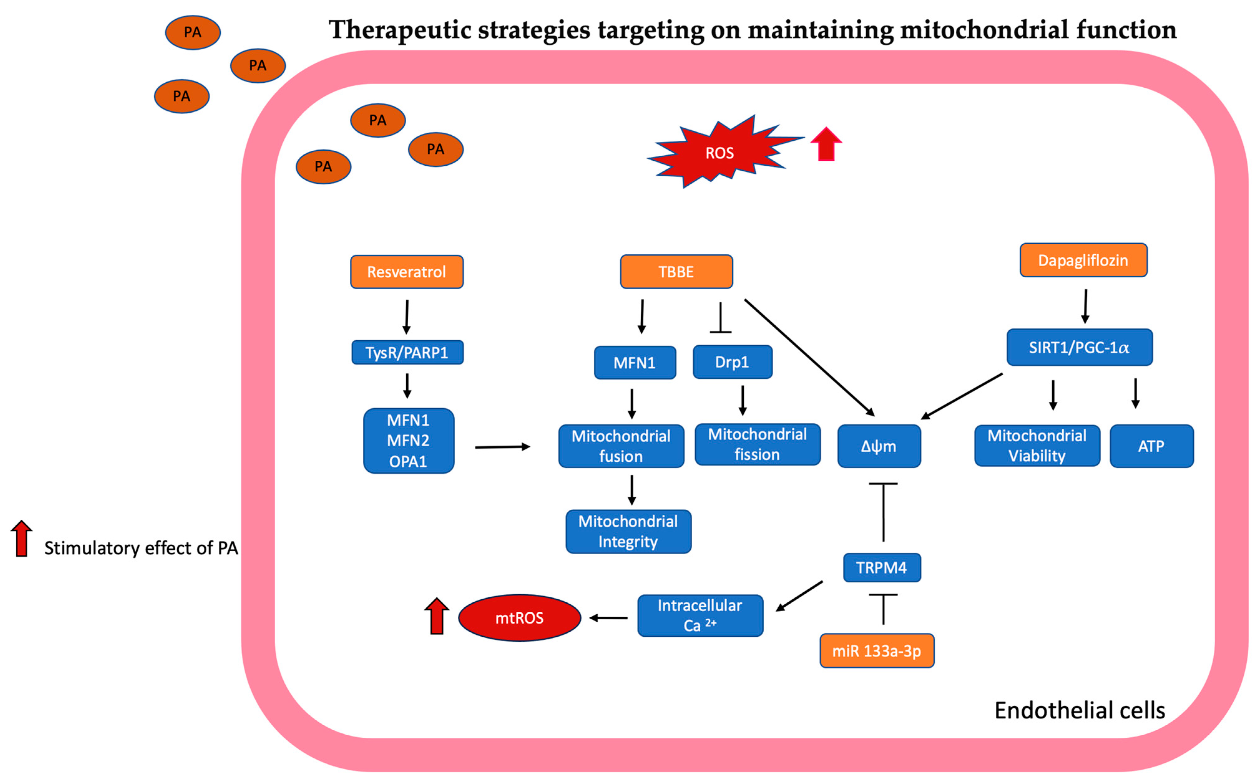 Antioxidants 13 01486 g005