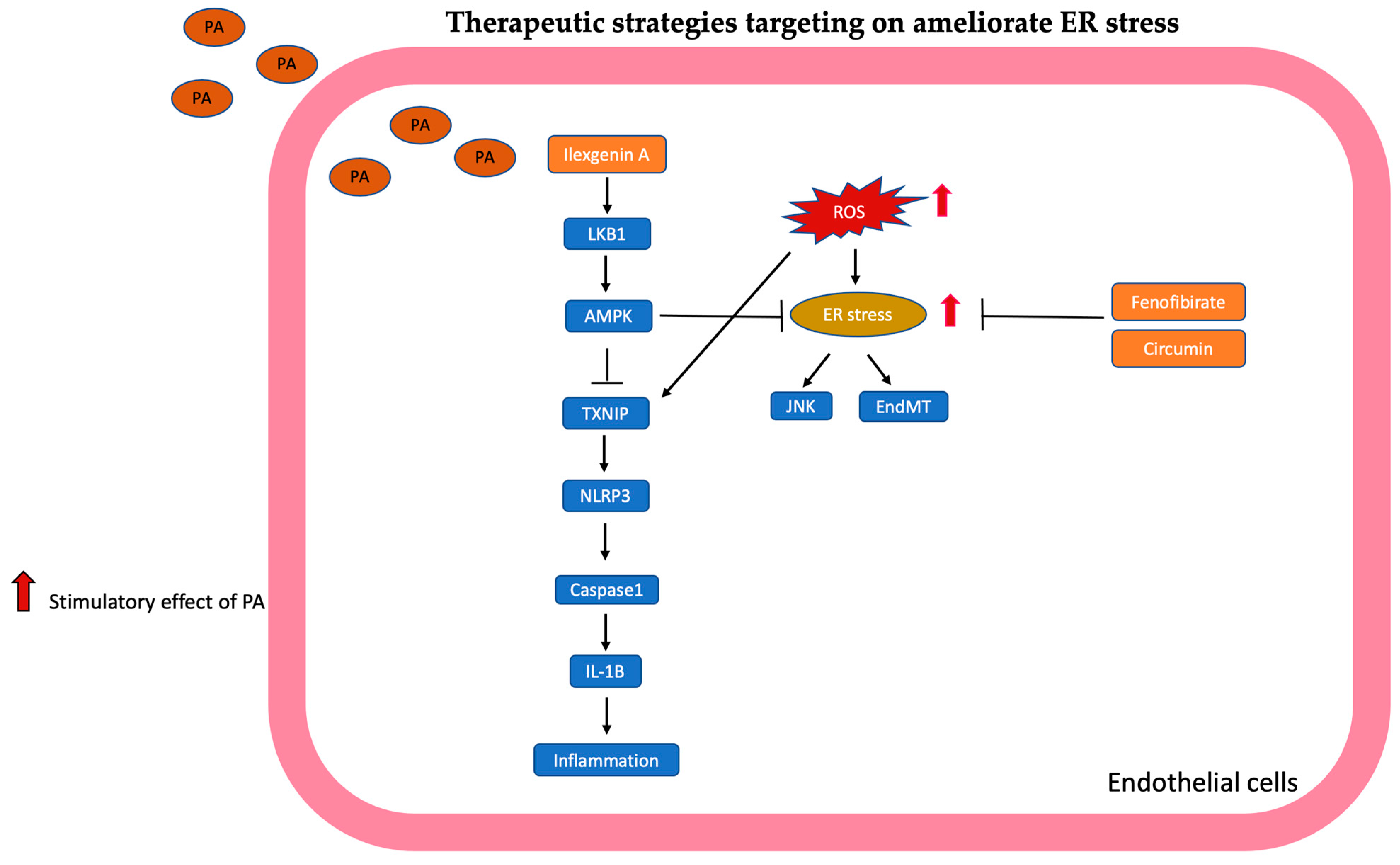 Antioxidants 13 01486 g006