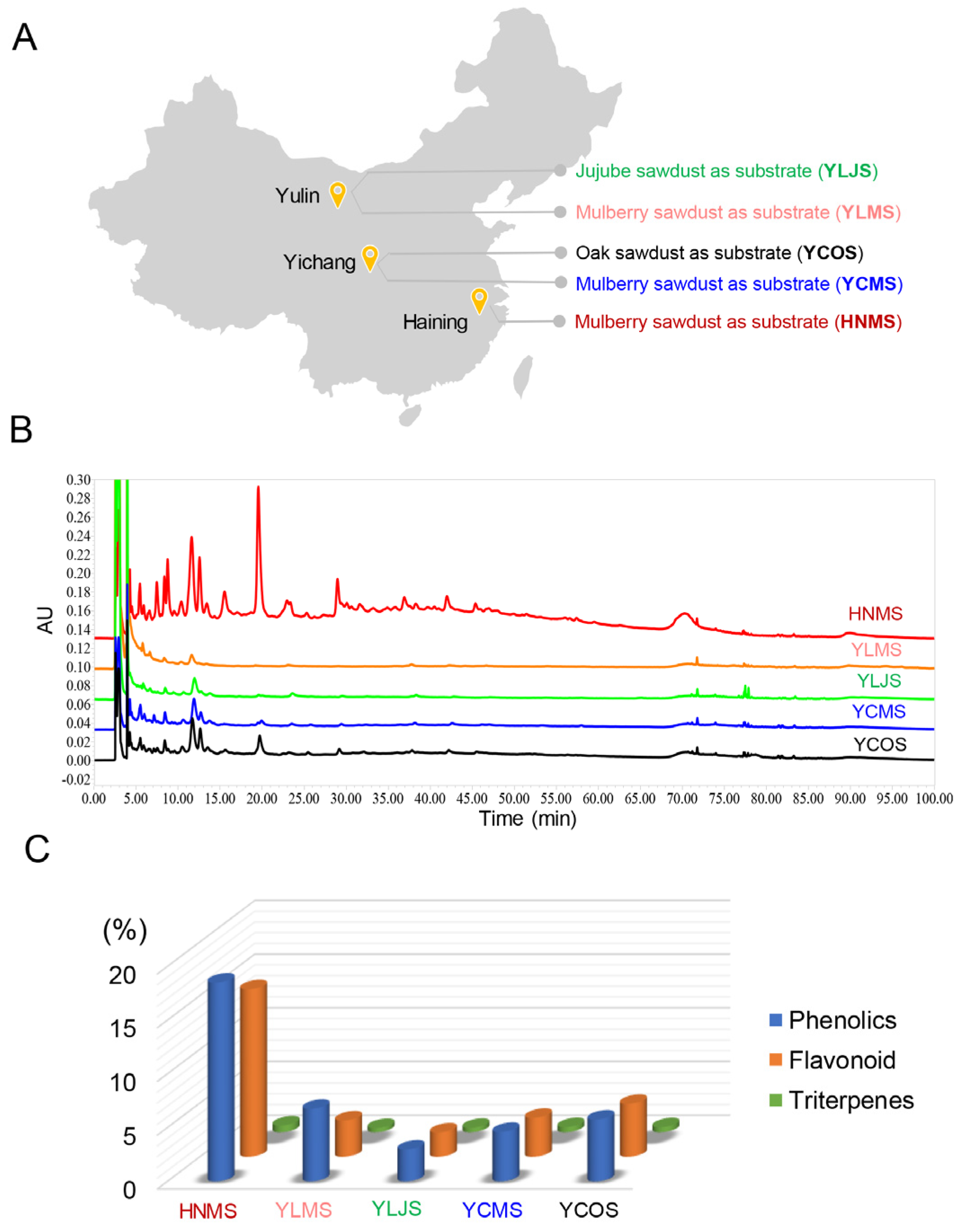 Antioxidants 13 01487 g001