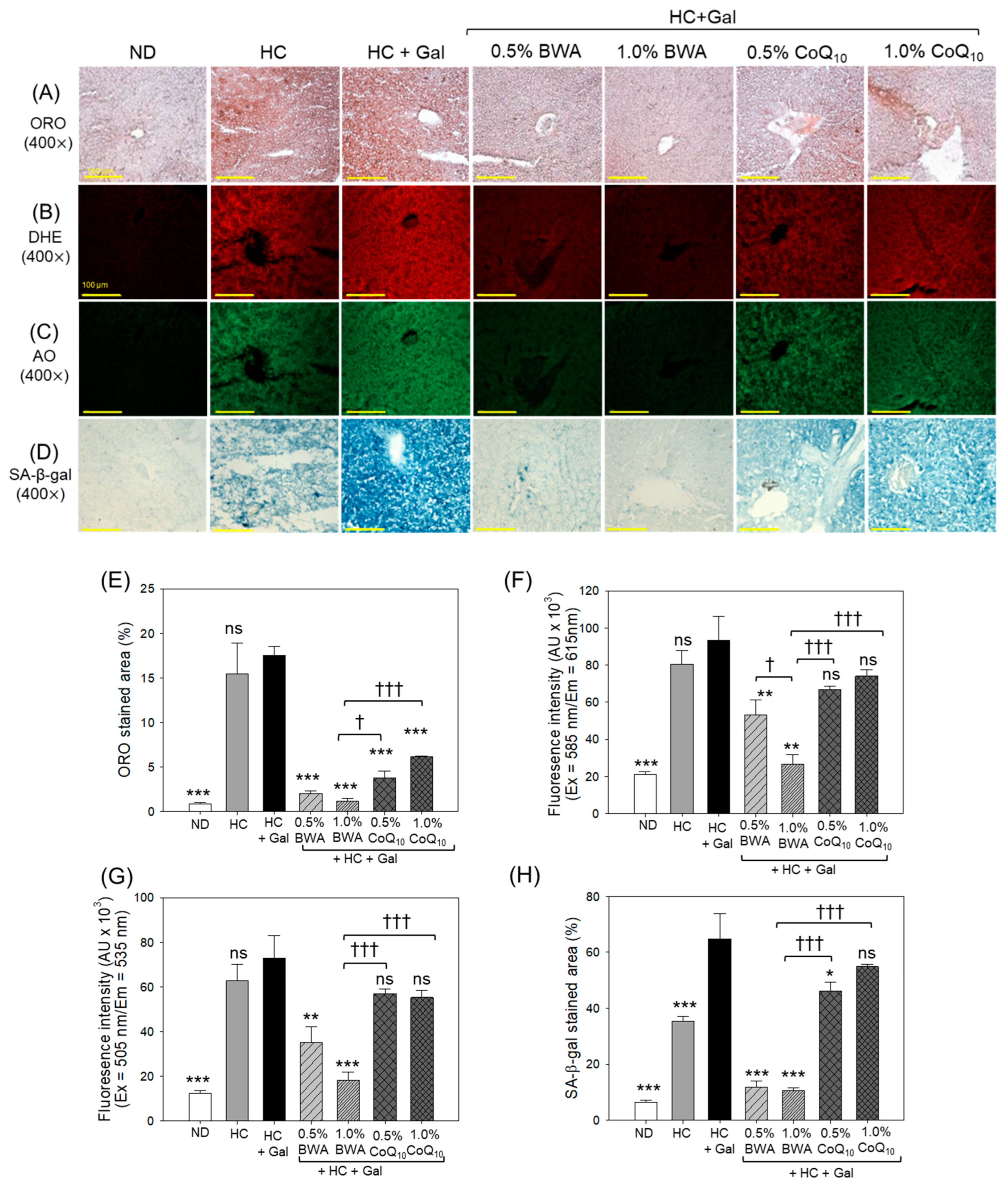 Antioxidants 13 01488 g009