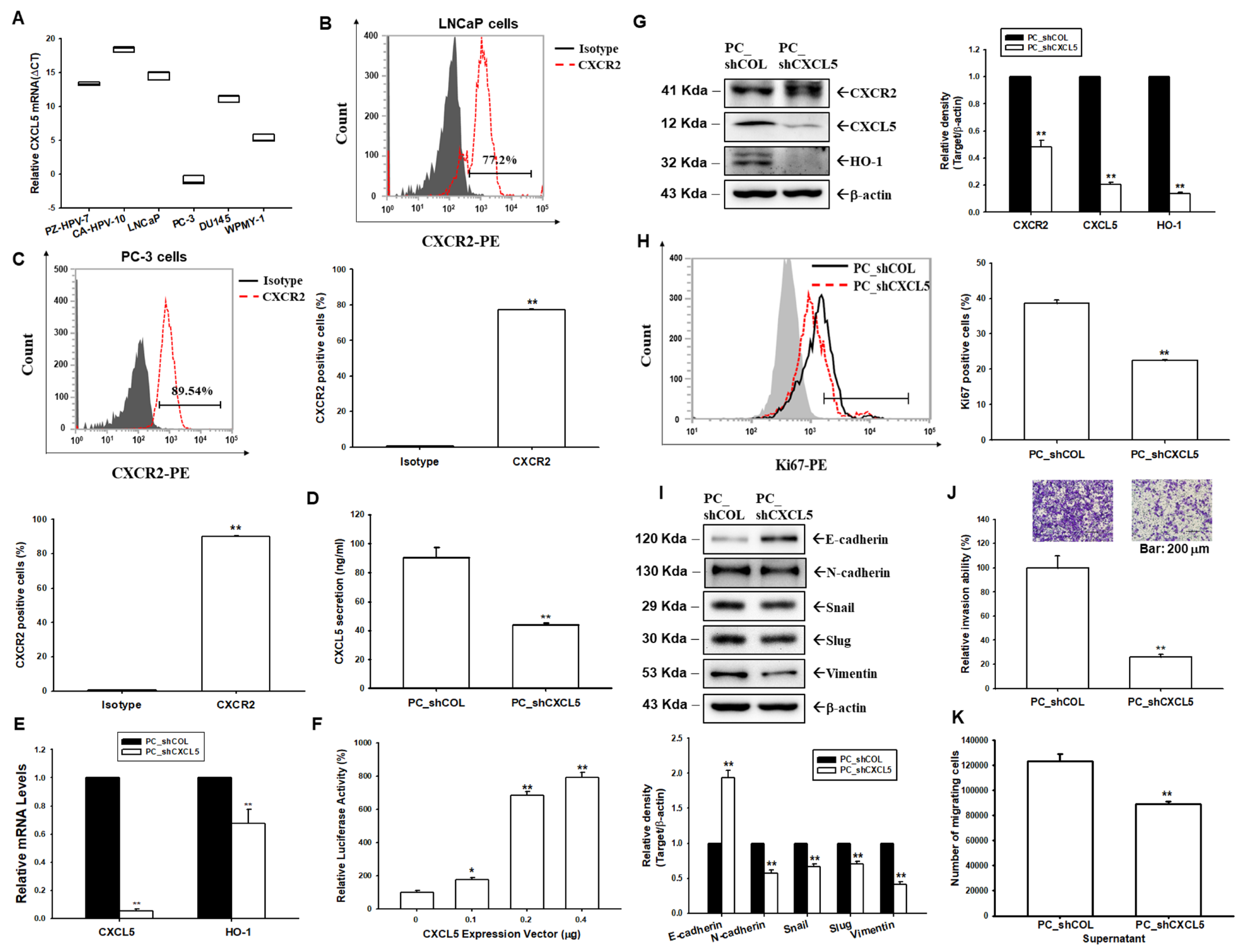 Antioxidants 13 01489 g001 Antioxidants 13 01489 g001