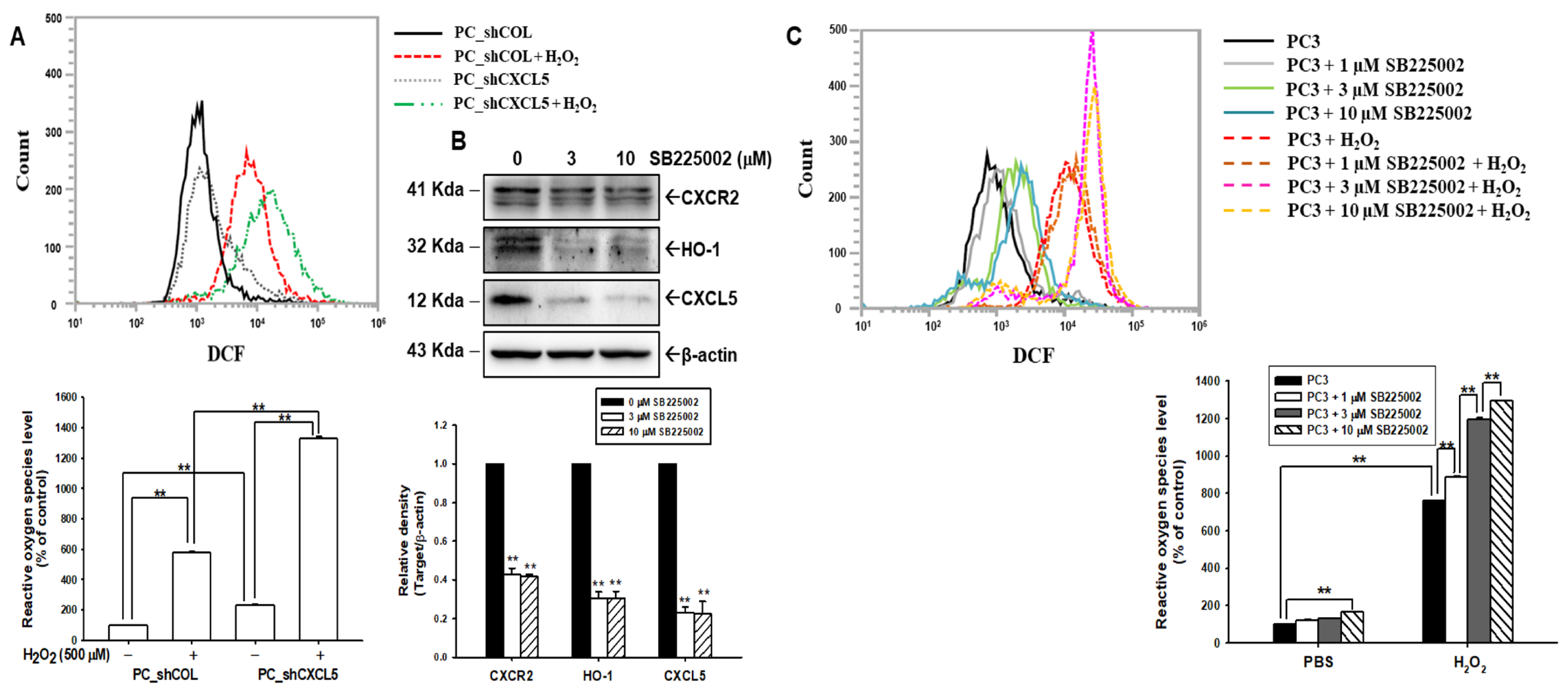 Antioxidants 13 01489 g003 Antioxidants 13 01489 g003