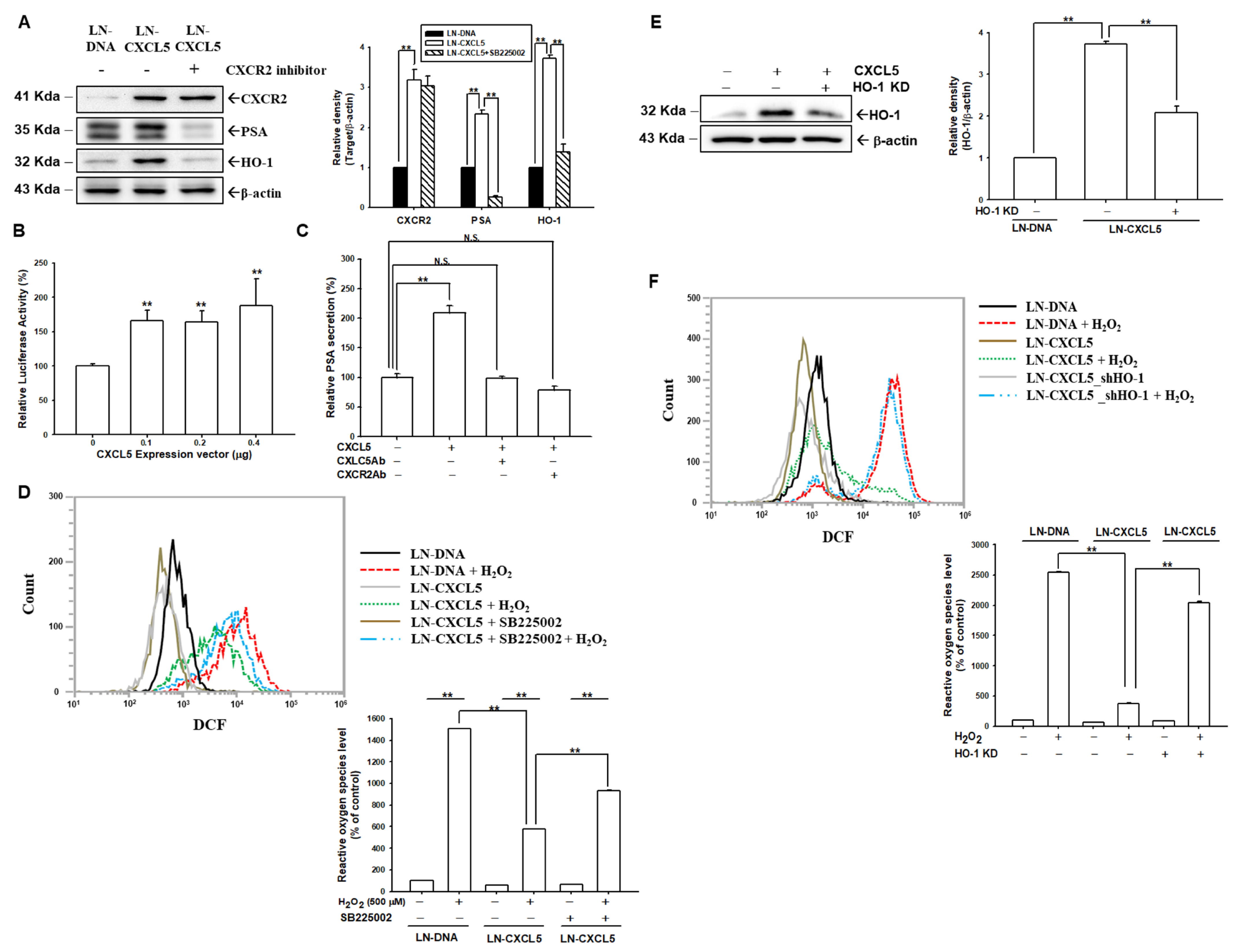 Antioxidants 13 01489 g005 Antioxidants 13 01489 g005
