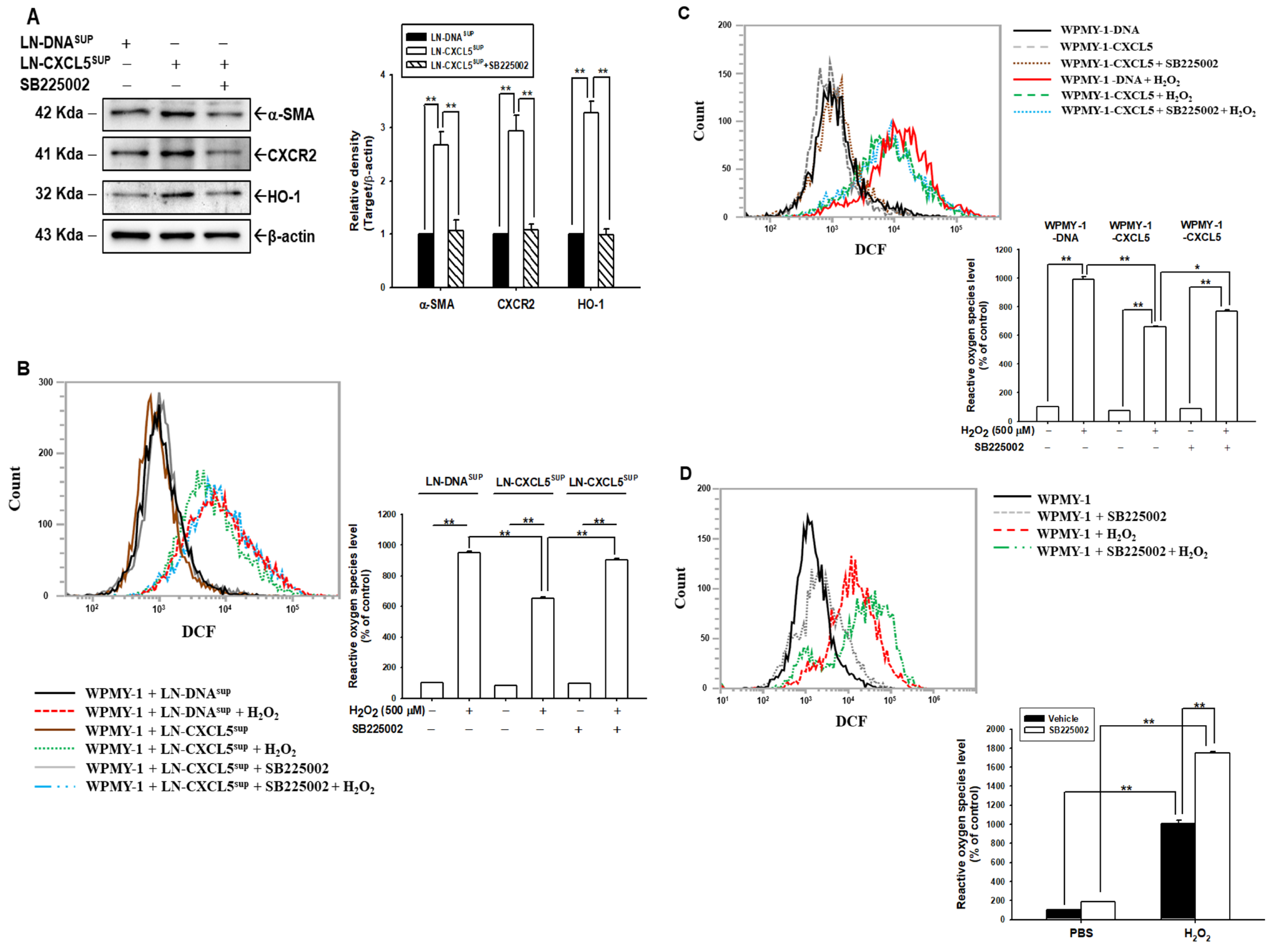 Antioxidants 13 01489 g007 Antioxidants 13 01489 g007