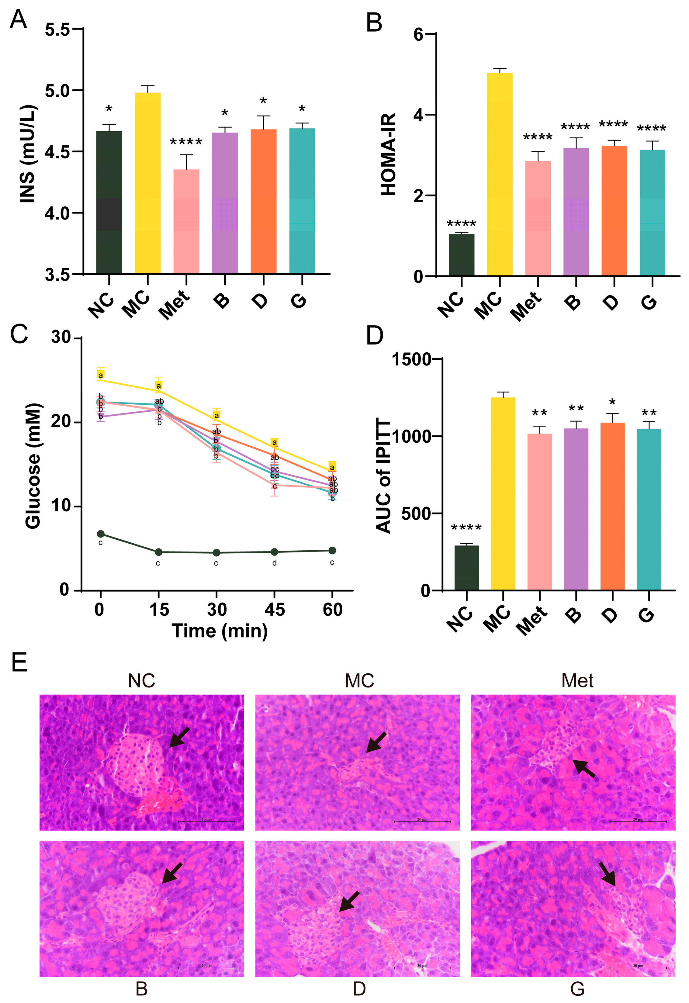 Antioxidants 13 01490 g004