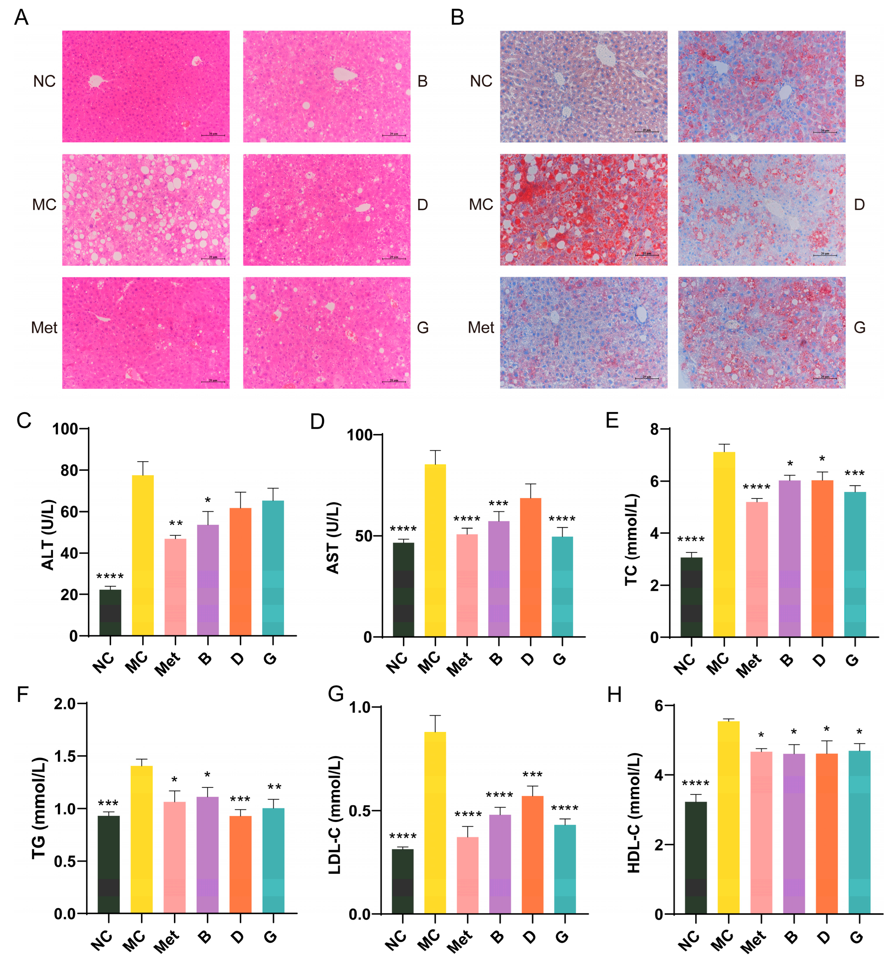 Antioxidants 13 01490 g005
