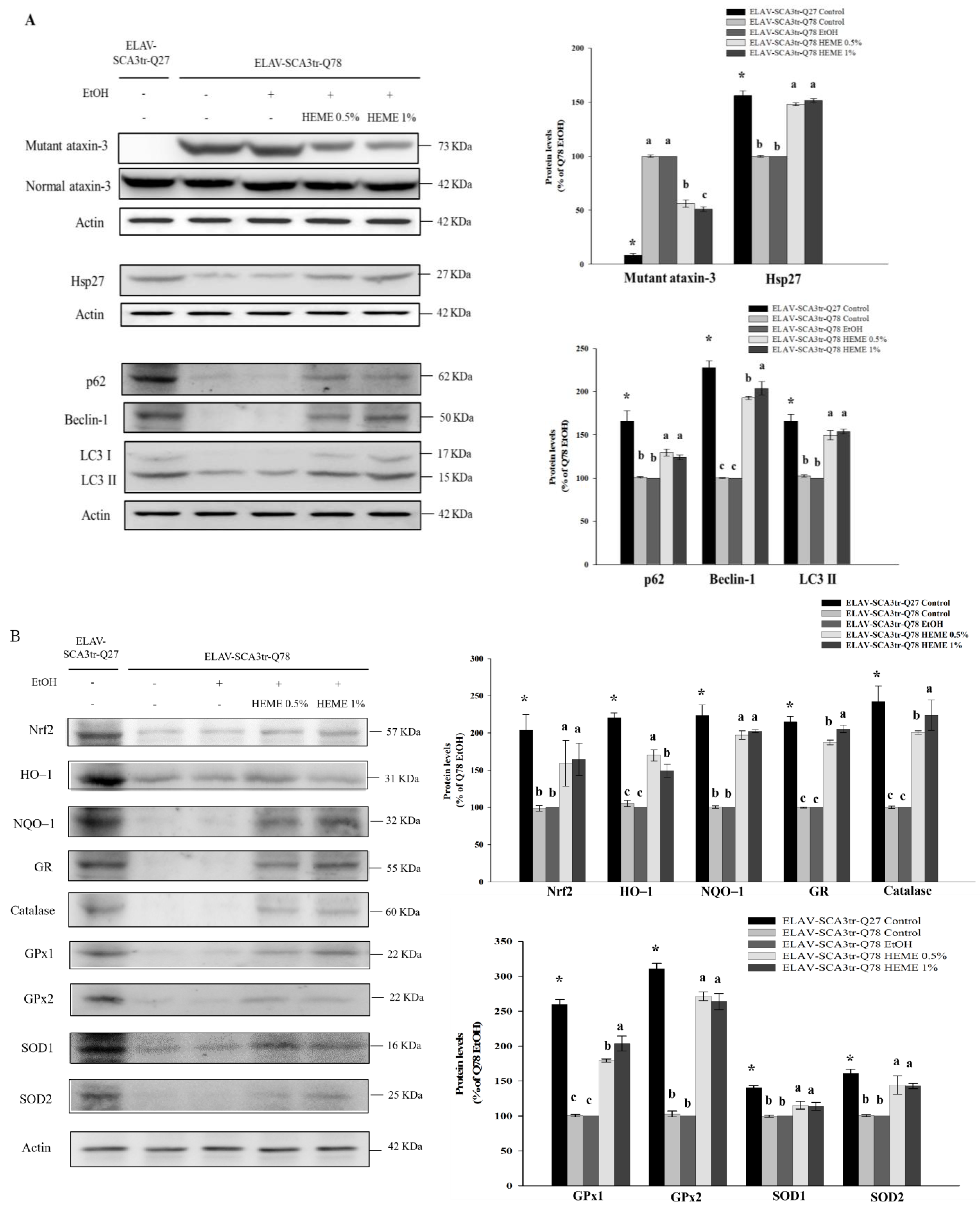 Antioxidants 13 01495 g003