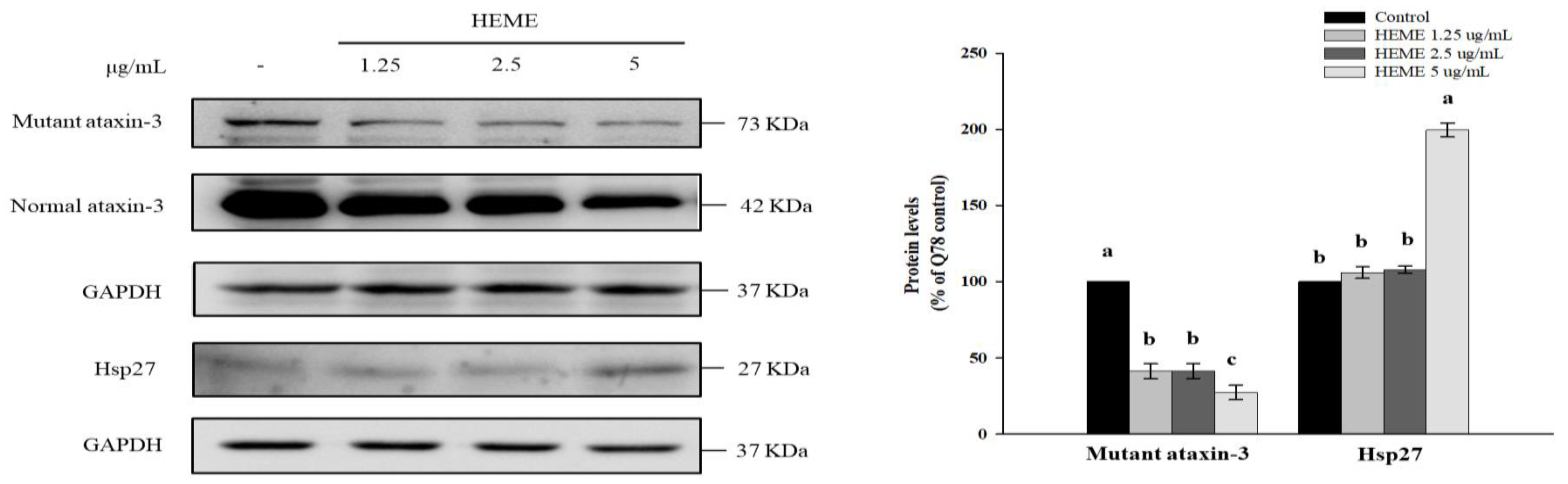 Antioxidants 13 01495 g004