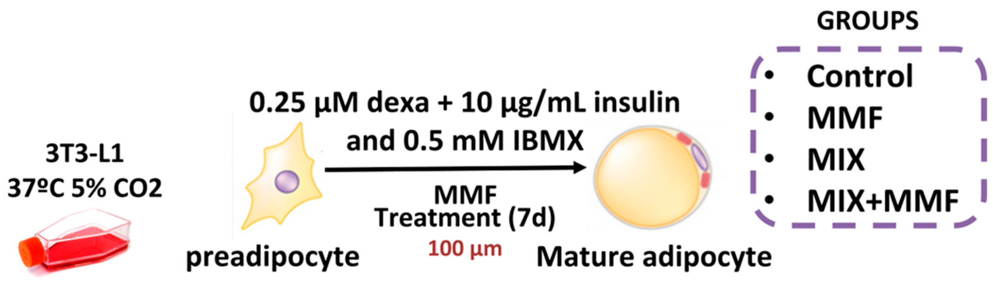 Antioxidants 13 01496 g001