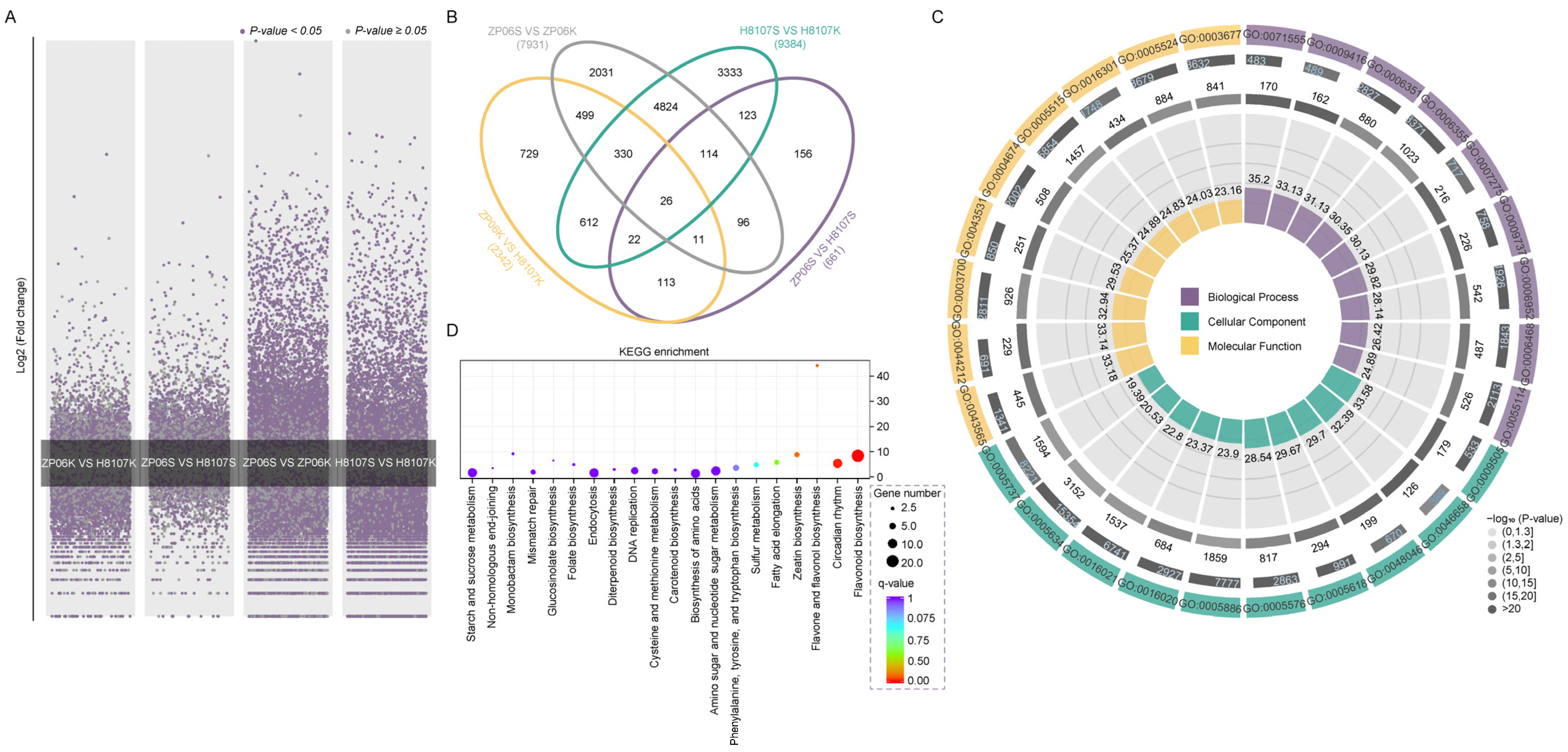 Antioxidants 13 01497 g003 Antioxidants 13 01497 g003