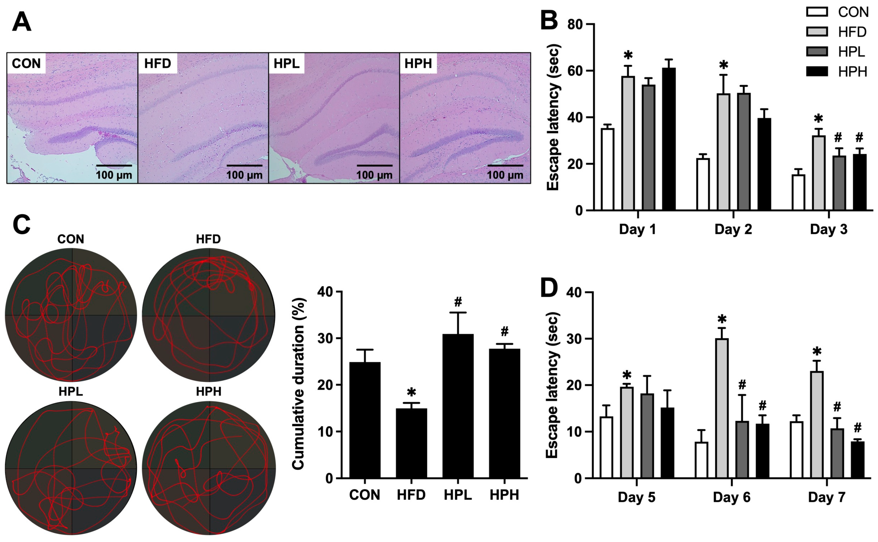 Antioxidants 13 01498 g002