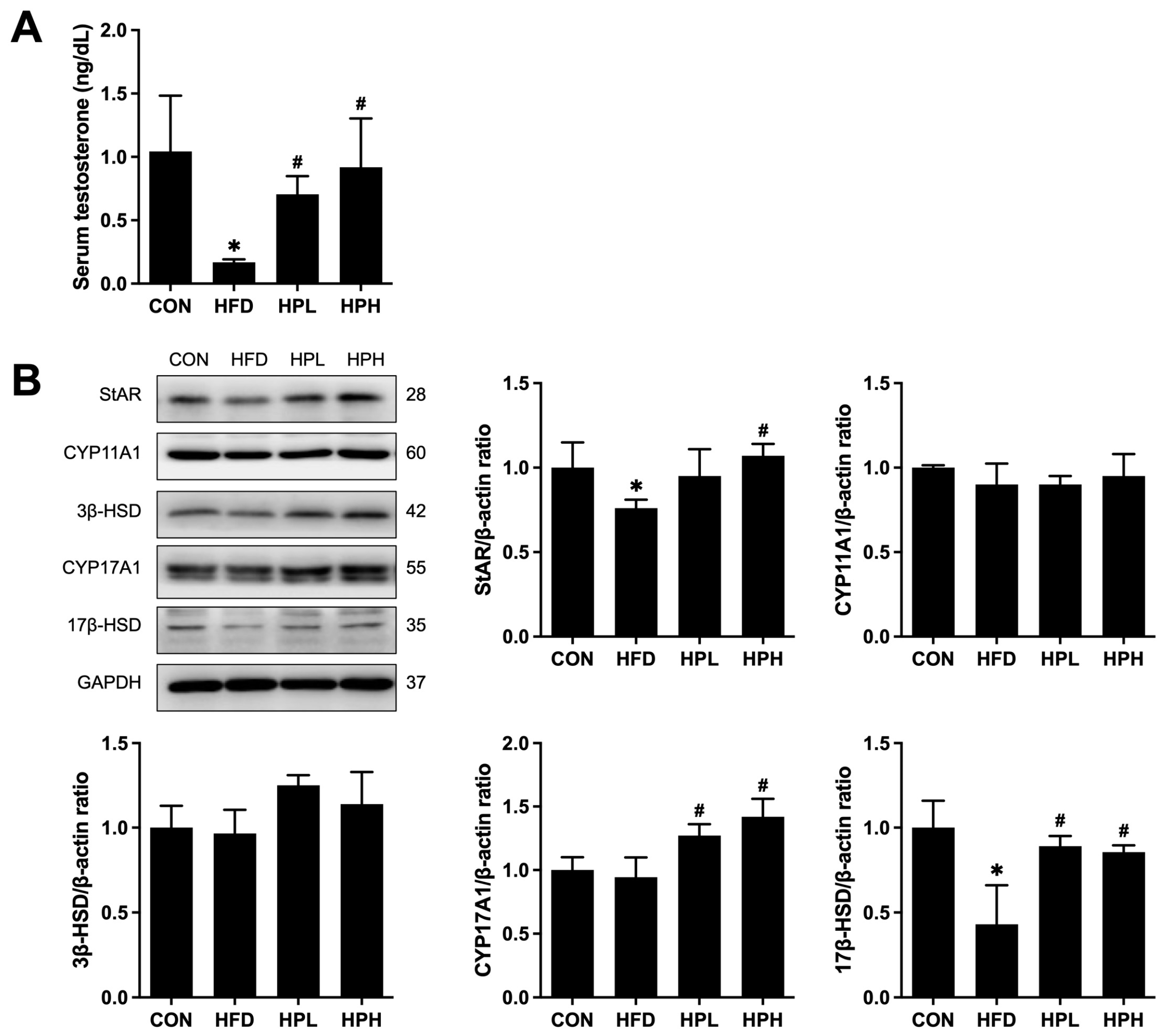 Antioxidants 13 01498 g005