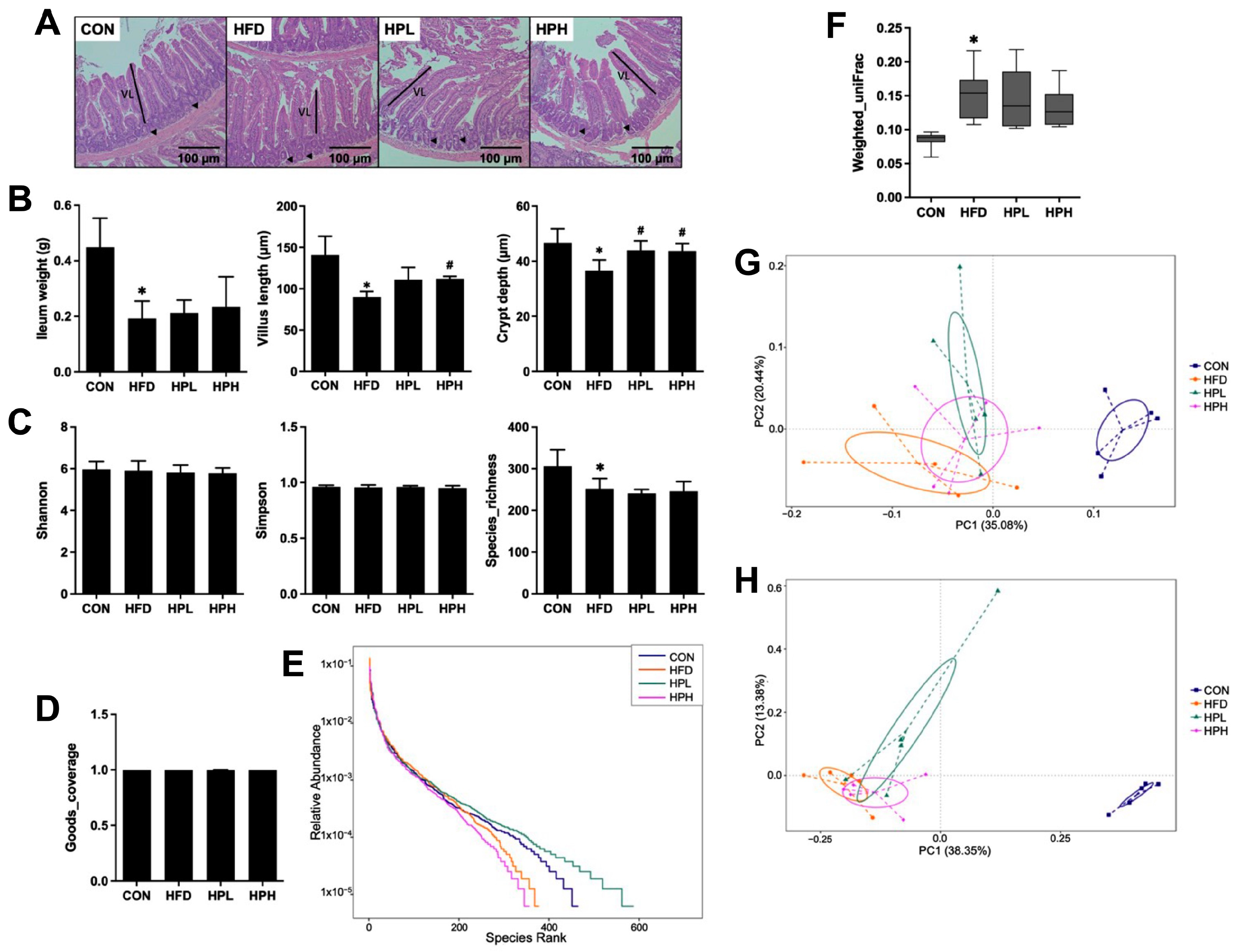 Antioxidants 13 01498 g006