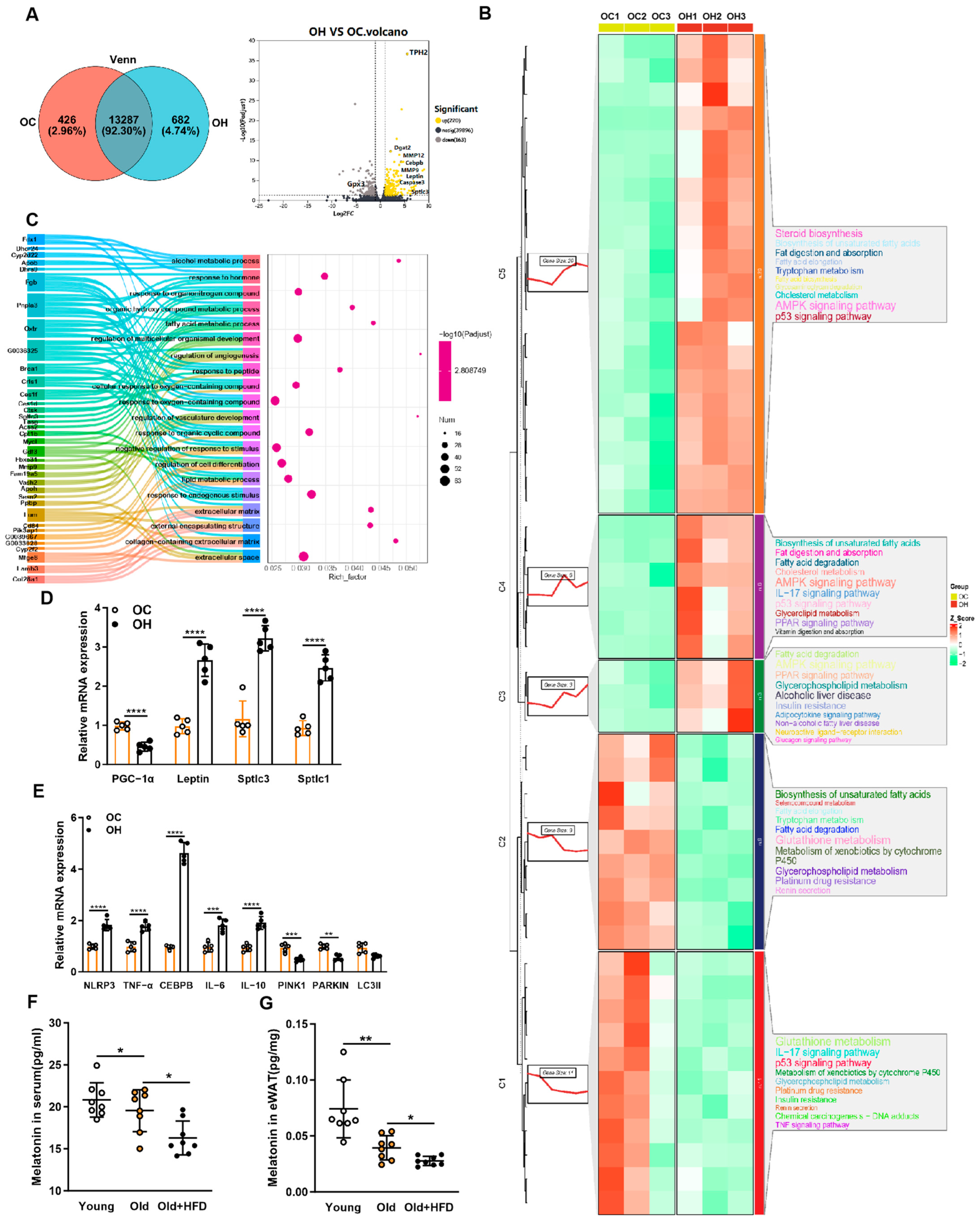 Antioxidants 13 01500 g003 Antioxidants 13 01500 g003